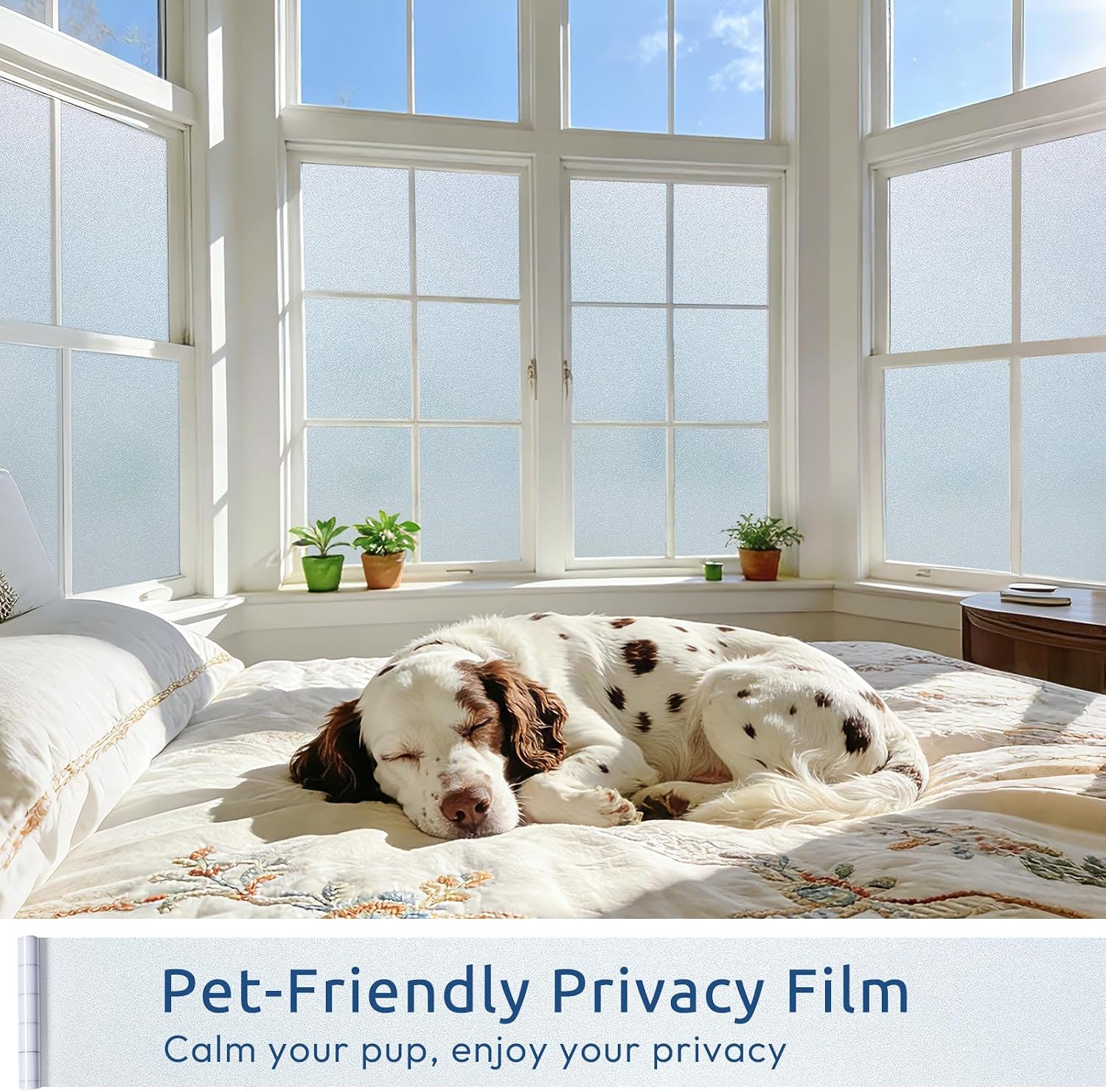Thumbnail 6 de rabbitgoo Window Privacy Film 17.5" x 78.7