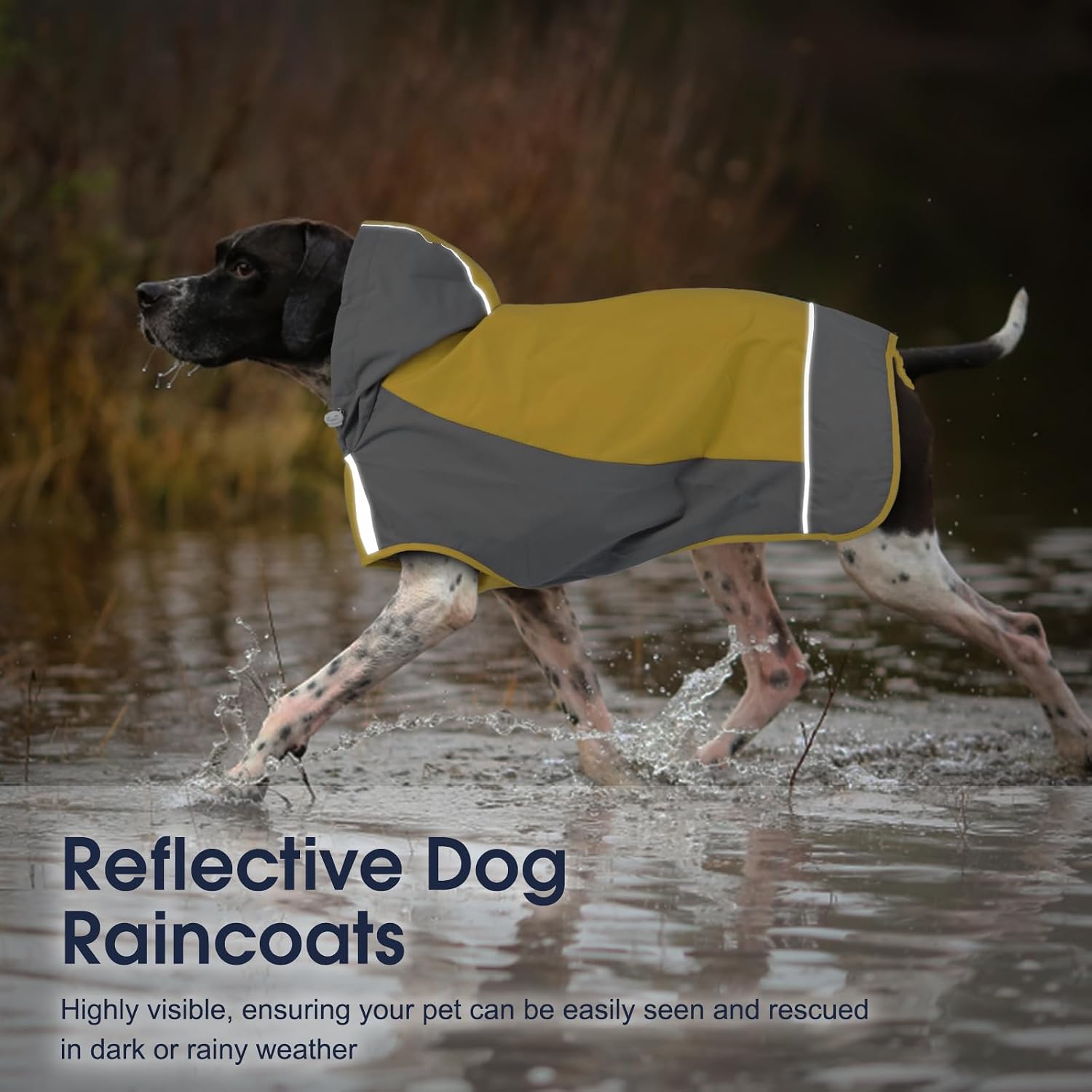 Detalle de IECOii Dog Raincoat, XXL