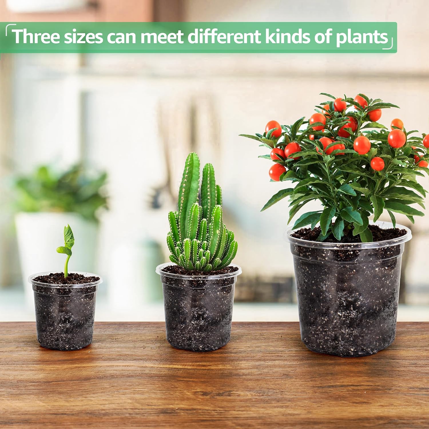 Detalle de Bluepro Clear Nursery Pots, 36-Pack in 3.5-, 4- and 5-Inch Sizes