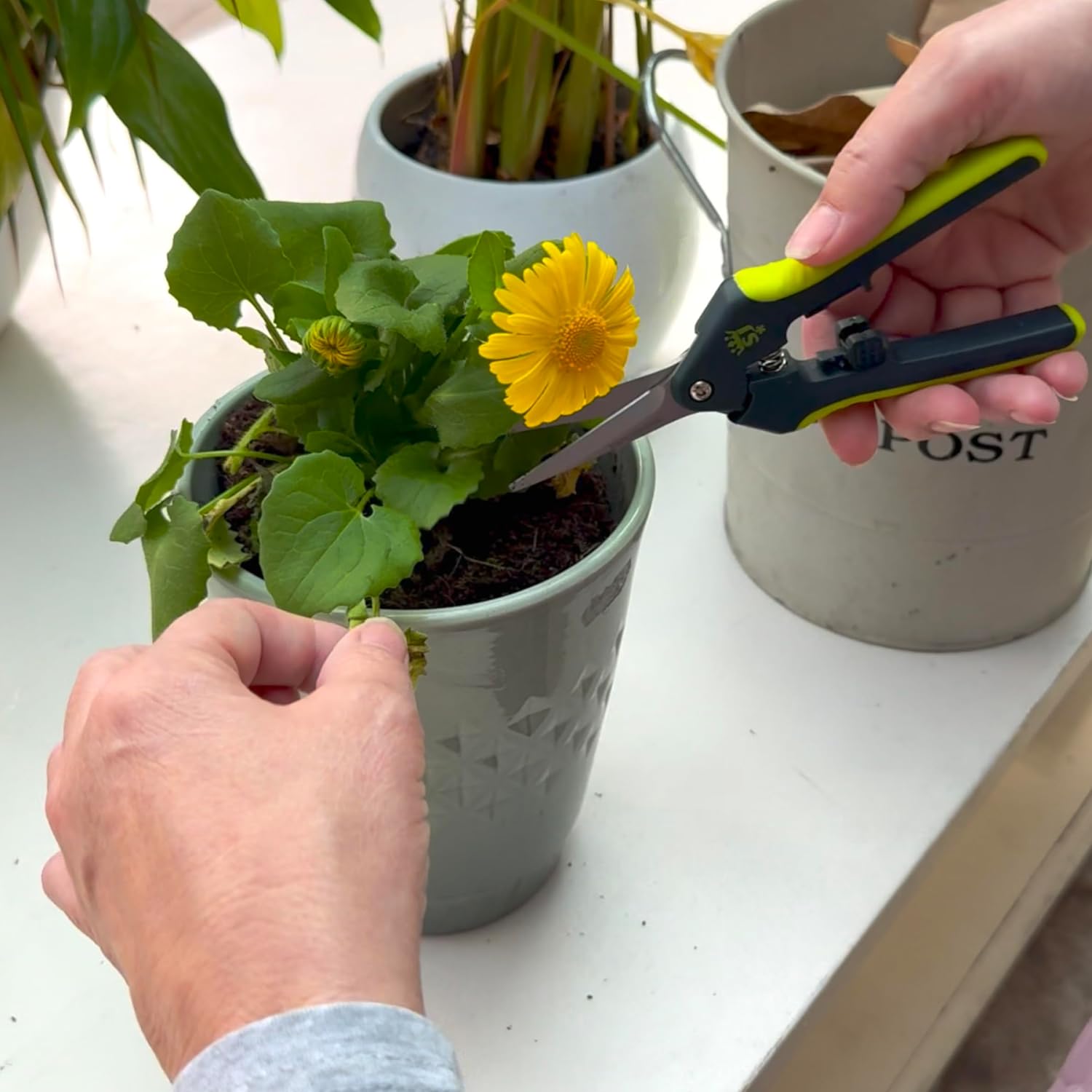 Thumbnail 4 de Spear & Jackson Kew Gardens Urban Oasis Precision Ergonomic Pruning Snips