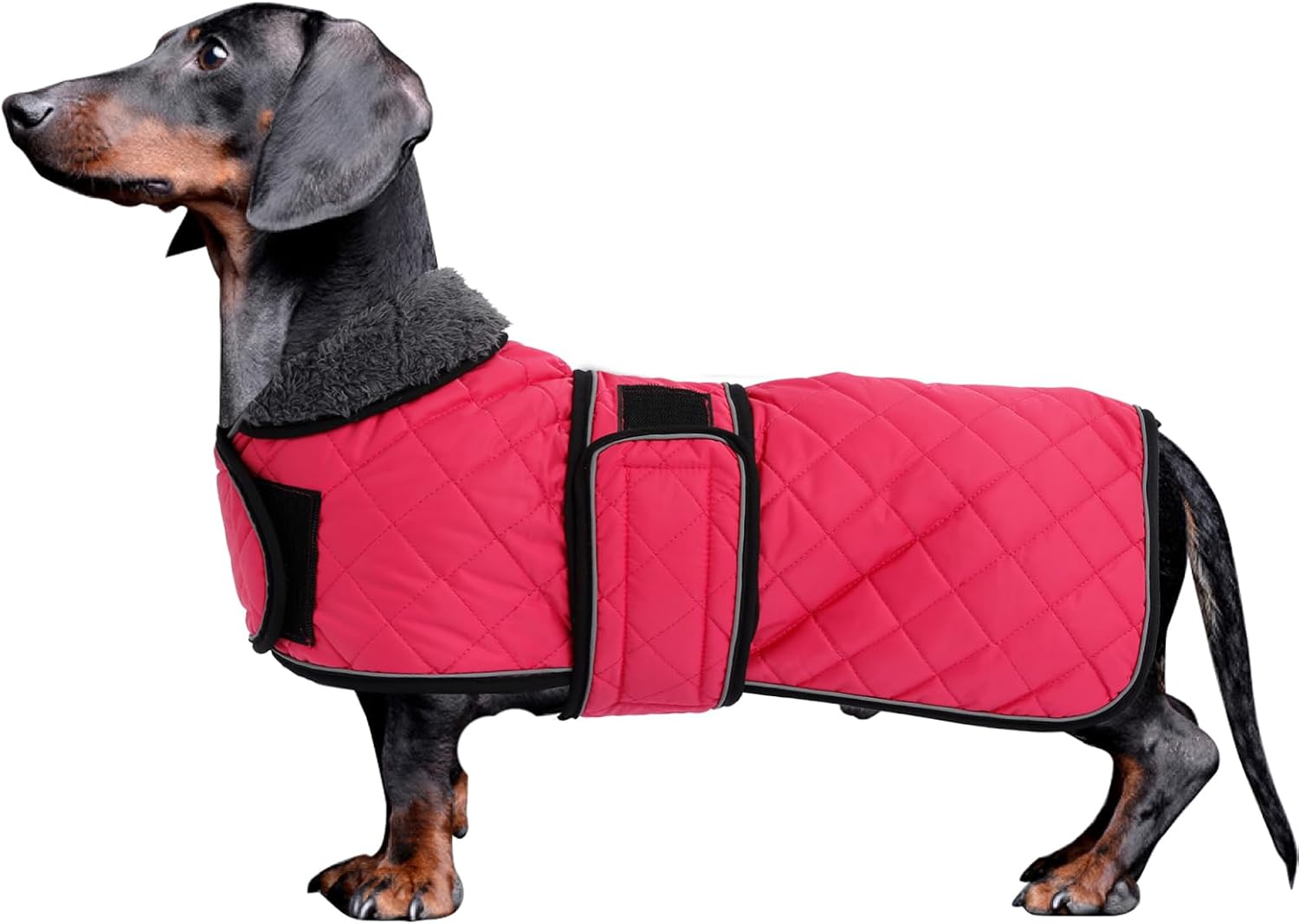 Thumbnail 6 de Morezi Dachshund Winter Coat with Fleece Lining (Dark Blue) – Padded, Windproof & Water-Resistant – Size S