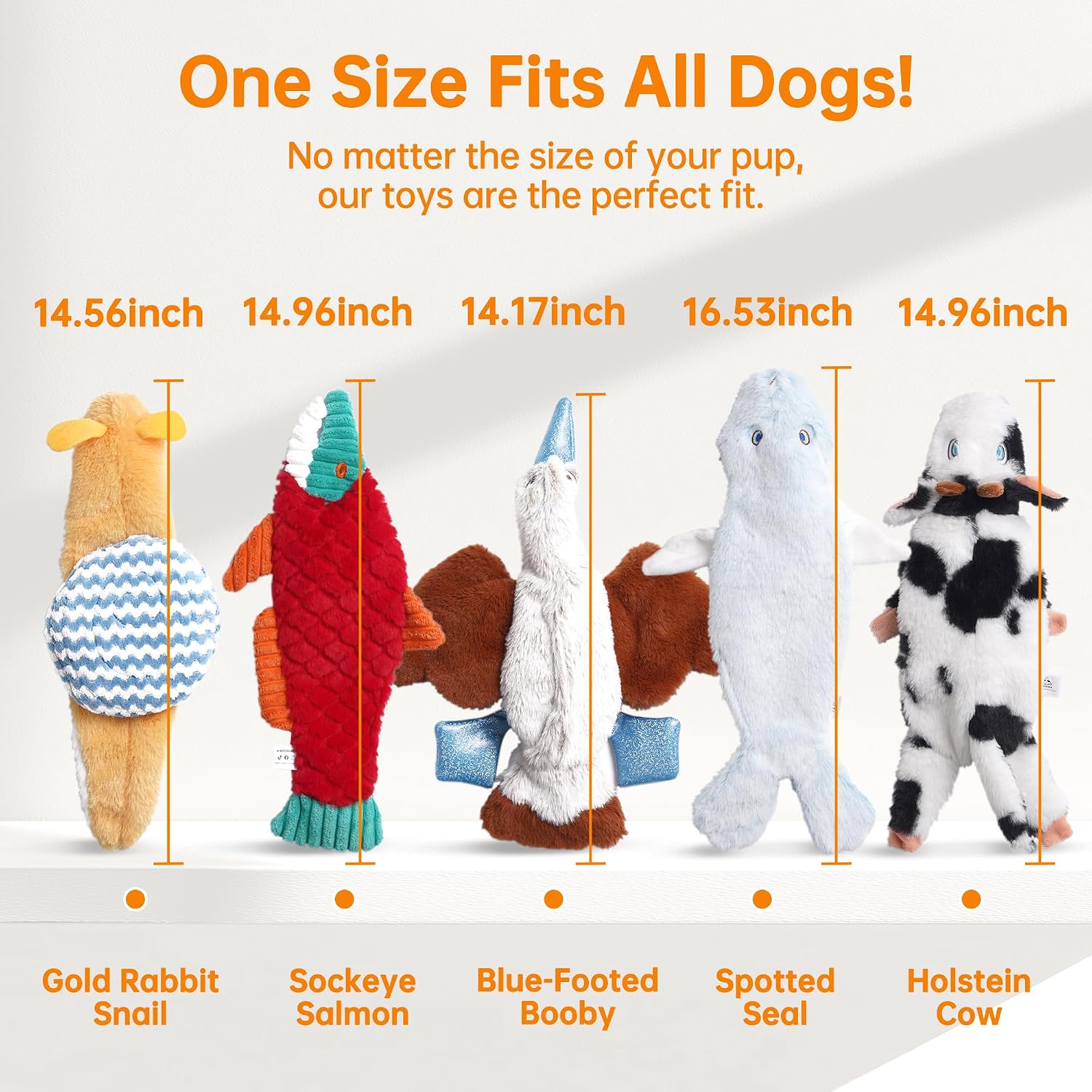 Thumbnail 6 de Nocciola No Stuffing Dog Toys with Crinkle Paper – 5-Pack Squeaky Plush Toys for All Size Dogs