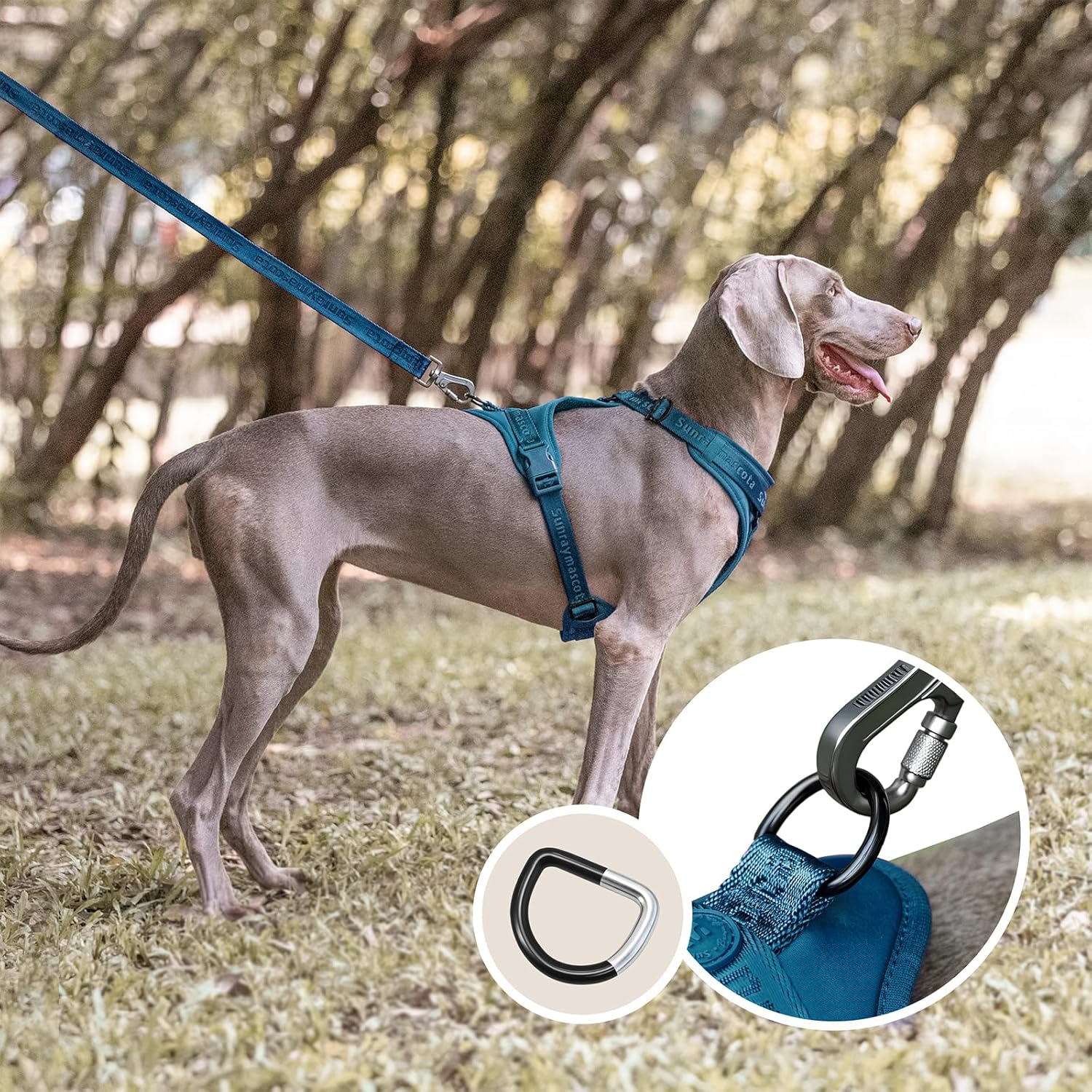 Thumbnail 6 de Imbracatura per cani Sunraymascota con imbottitura morbida in Lycra - gilet traspirante, taglia M (Blu di Prussia)