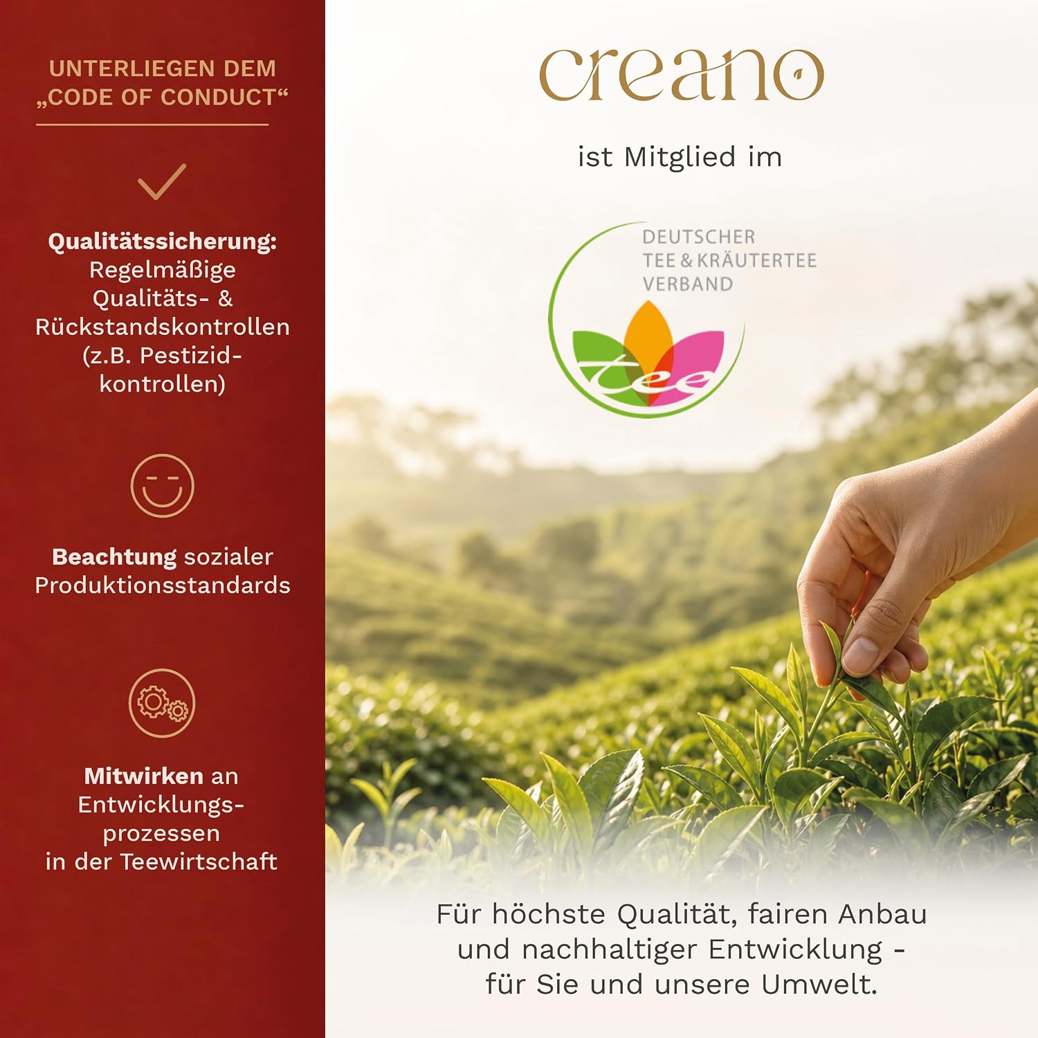 Thumbnail 6 de Creano Teeblumen Geschenkset 12er Set