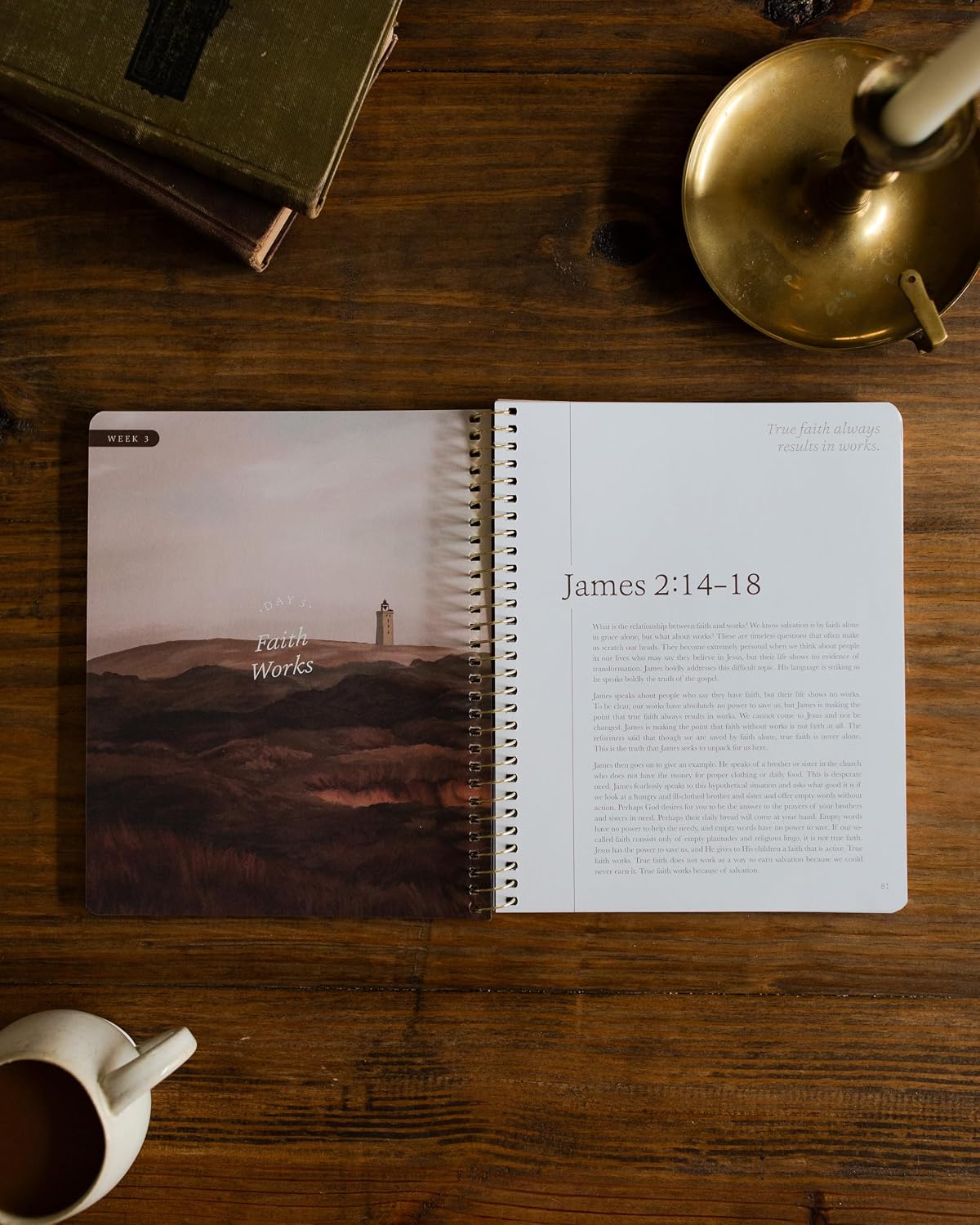 Detalle de The Daily Grace Co. James | The Steadfast Life Bible Study, 7-Week Spiral-Bound