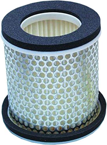 Imagen de HiFlo HFA4603 Filtre à air — Hiflofiltro (BG-E1746030) pour utilisation fiable en OfertitasTOP