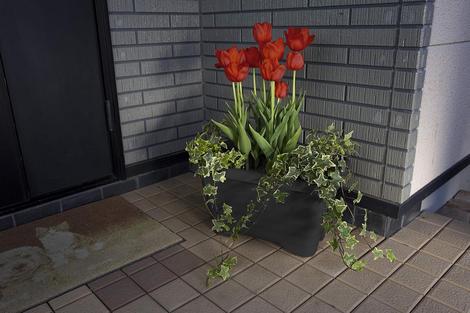 Thumbnail 1 de Iris Ohyama Air Planter450 maceta jardinera colgante gris 🪴