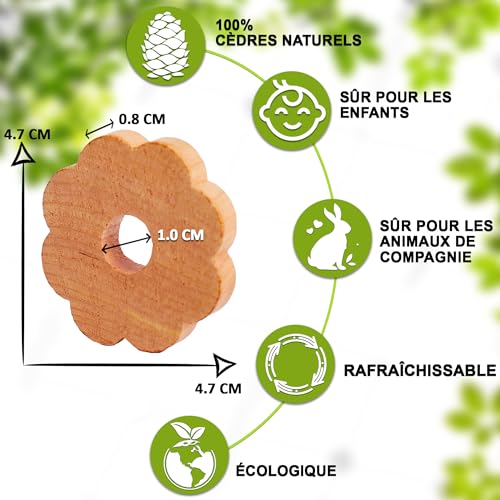 Detalle 2 de Zidina Anti Mites Textiles – Pack de 50 Anneaux pour Vêtements avec Mini Bouteille d'Huile de Bois de Cèdre (4,5 ml)