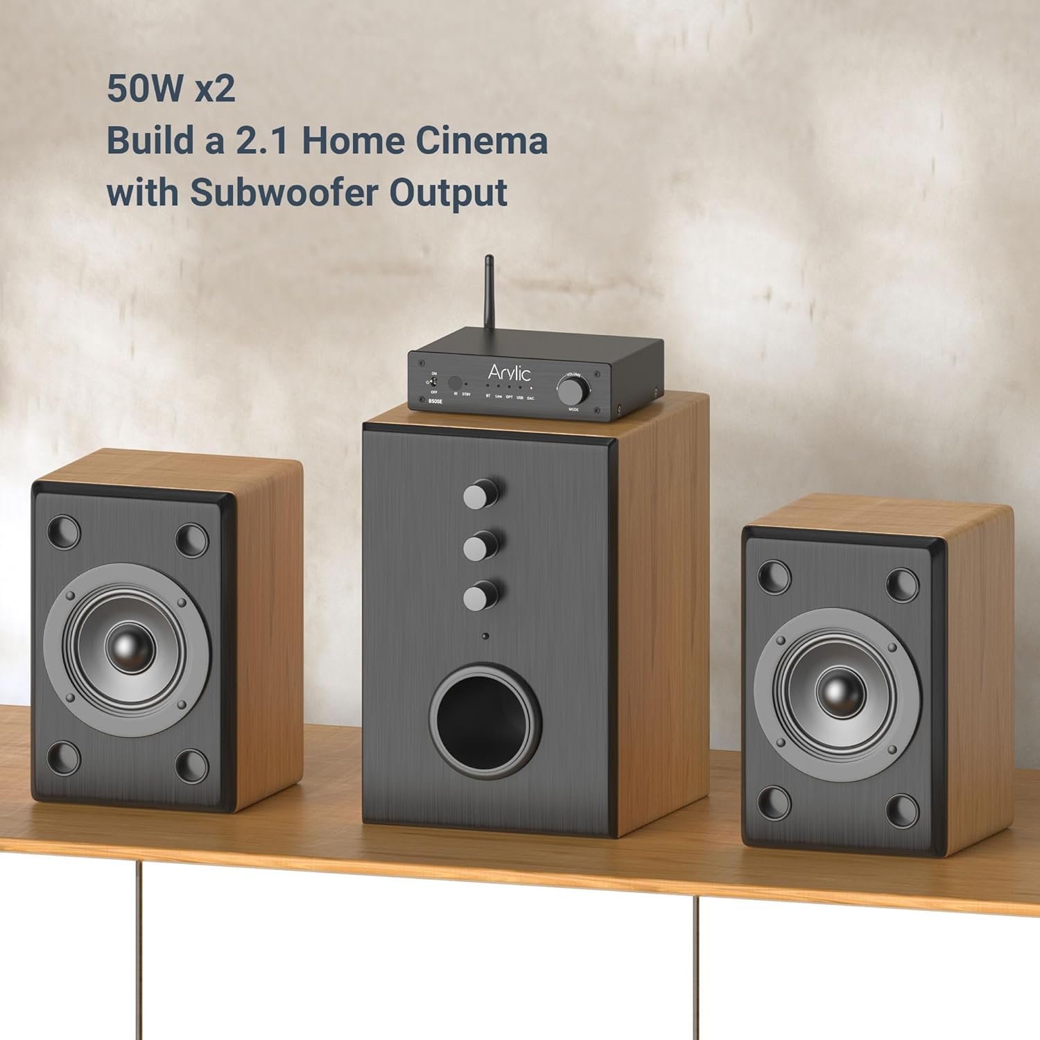 Detalle de Arylic B50 SE Bluetooth Stereoanlage: 2.0 Kanal, 50 W x 2, Subwoofer-Ausgang