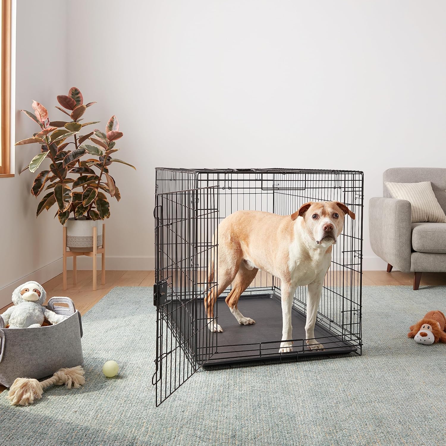 Detalle de Amazon Basics XXL Metal Dog Crate with Tray (122 cm) – Foldable, Single Door