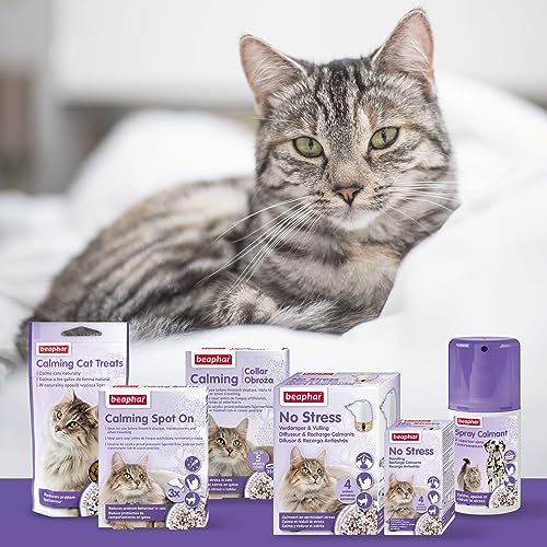 Thumbnail 5 de Beaphar No Stress Kit Antiestres Natural para Gato: Difusor + Recarga 30 ml