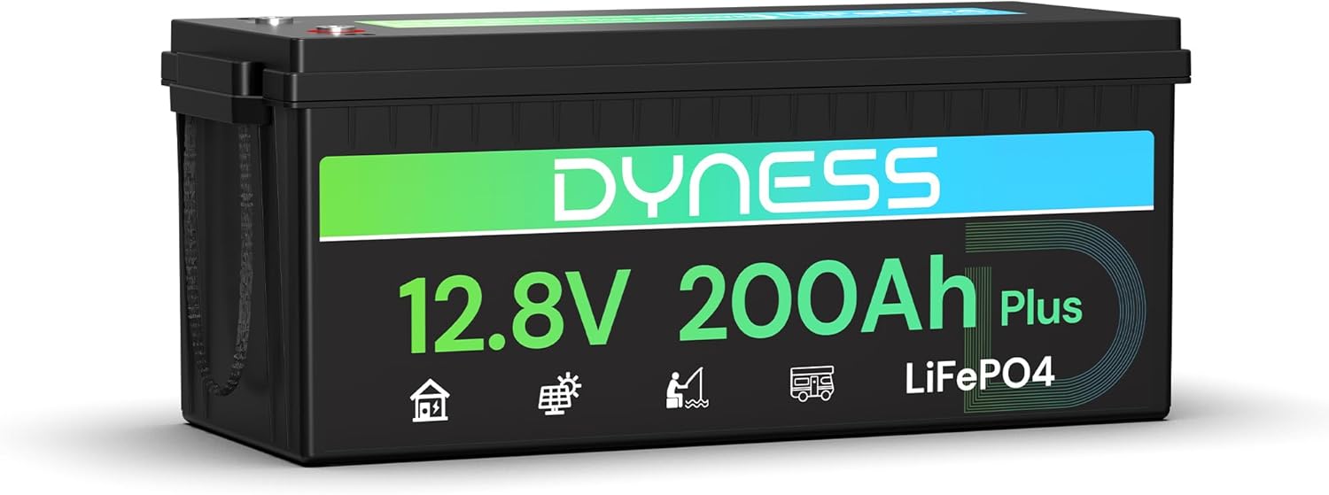 Dyness 12V 200Ah LiFePO4 batteria per camper e nautica