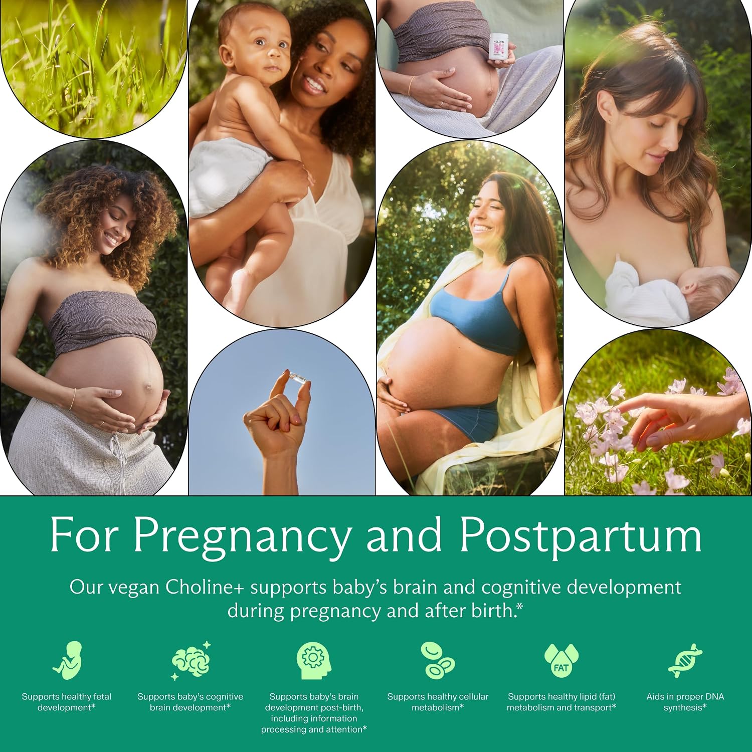 Detalle de Needed. Prenatal Choline+ Liquid Capsules, 500 mg Choline Chloride