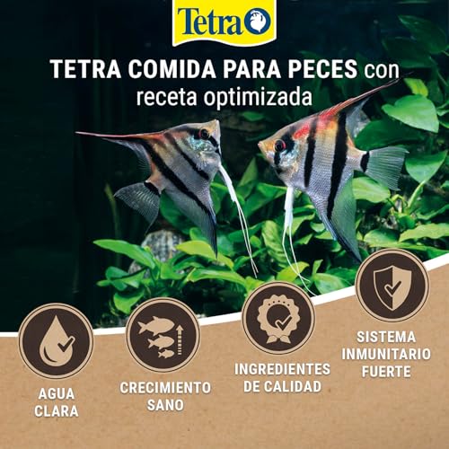 Thumbnail 5 de Tetra Rubin Granules alimento para peces 250 ml 🐟