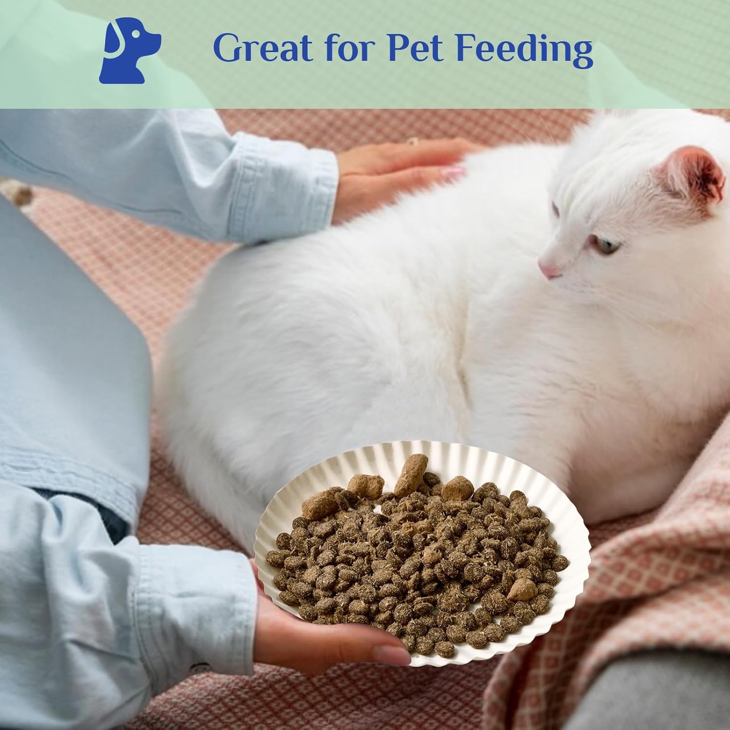 Thumbnail 6 de MUCHII 1200 Count 6-Inch White Uncoated Paper Plates for Desserts, Snacks & Crafts