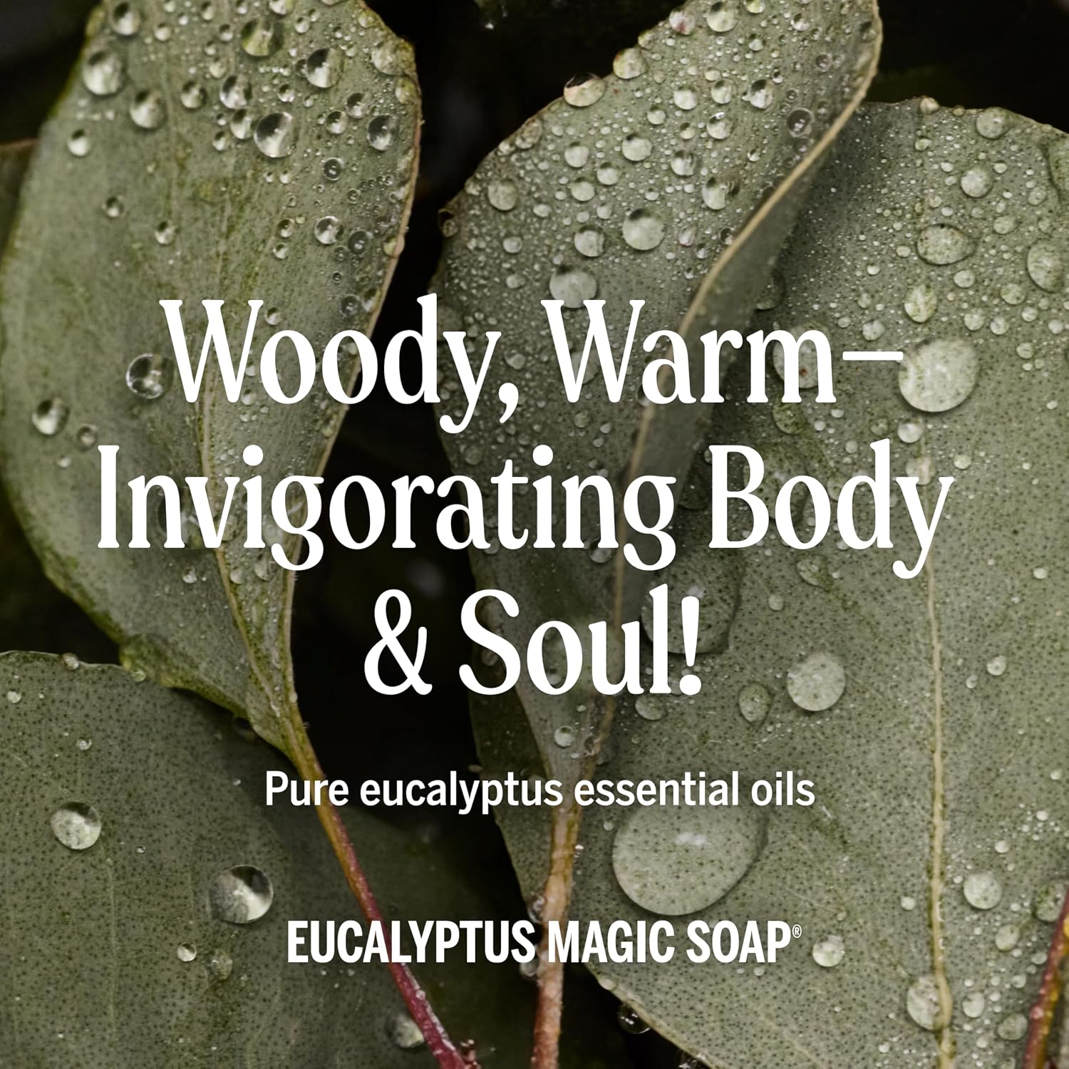 Thumbnail 4 de Dr. Bronner's Eucalyptus Pure-Castile Liquid Soap, 32 oz 2-Pack