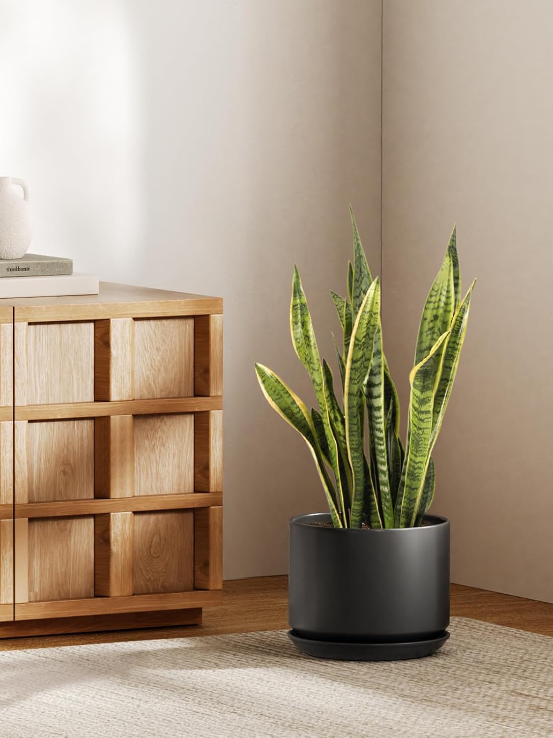 Detalle de LE TAUCI 25 cm Ceramic Plant Pot with Drainage Hole and Saucer