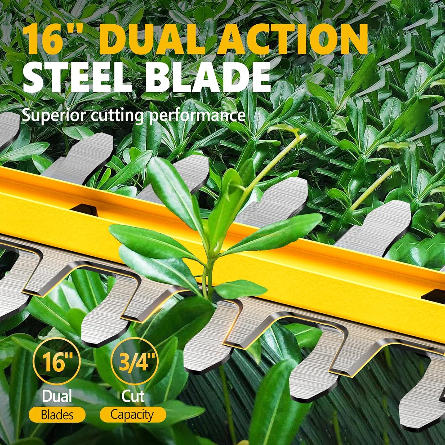 Detalle de Alloyman JND-LLJ-01 20V Cordless Pole Hedge Trimmer, 16-Inch Dual Blades