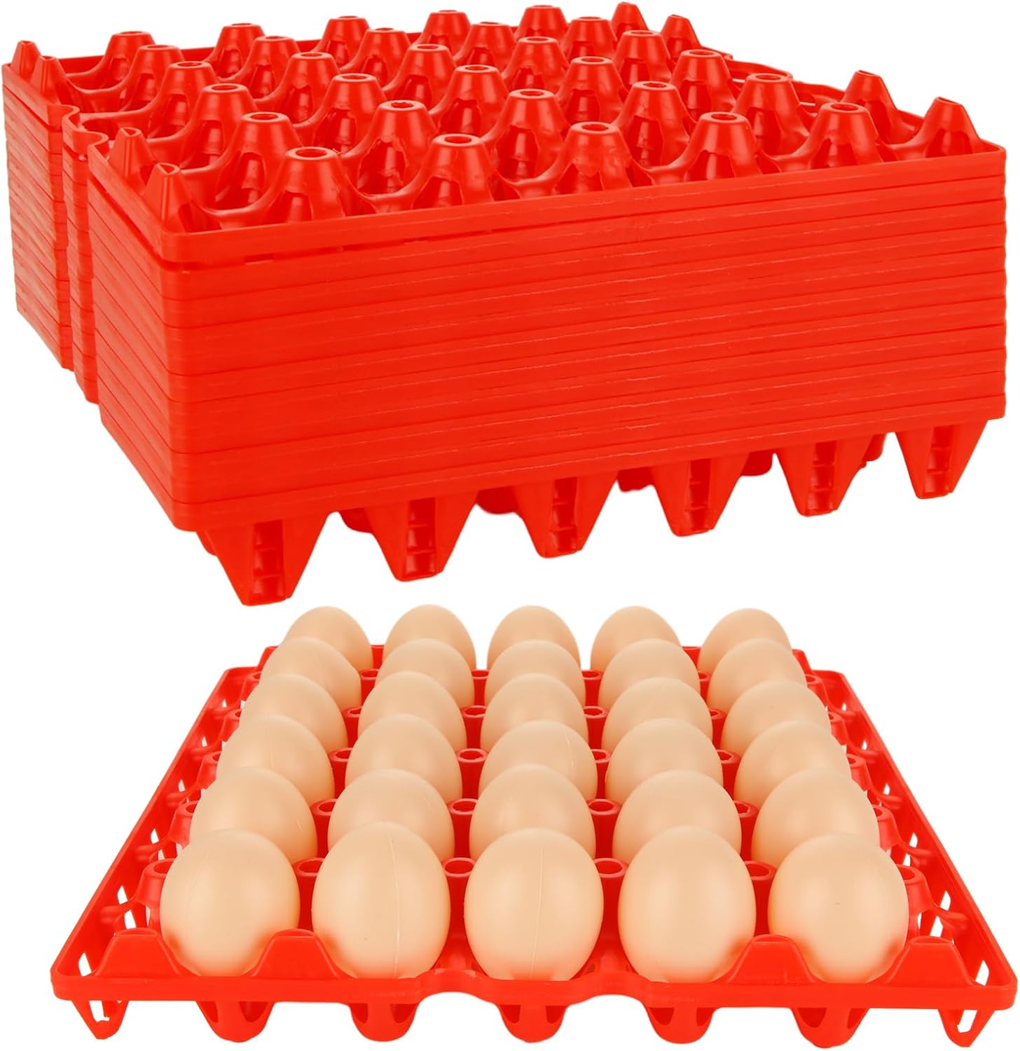 Detalle de ACXFOND Plastic Egg Trays, 30-Egg Capacity