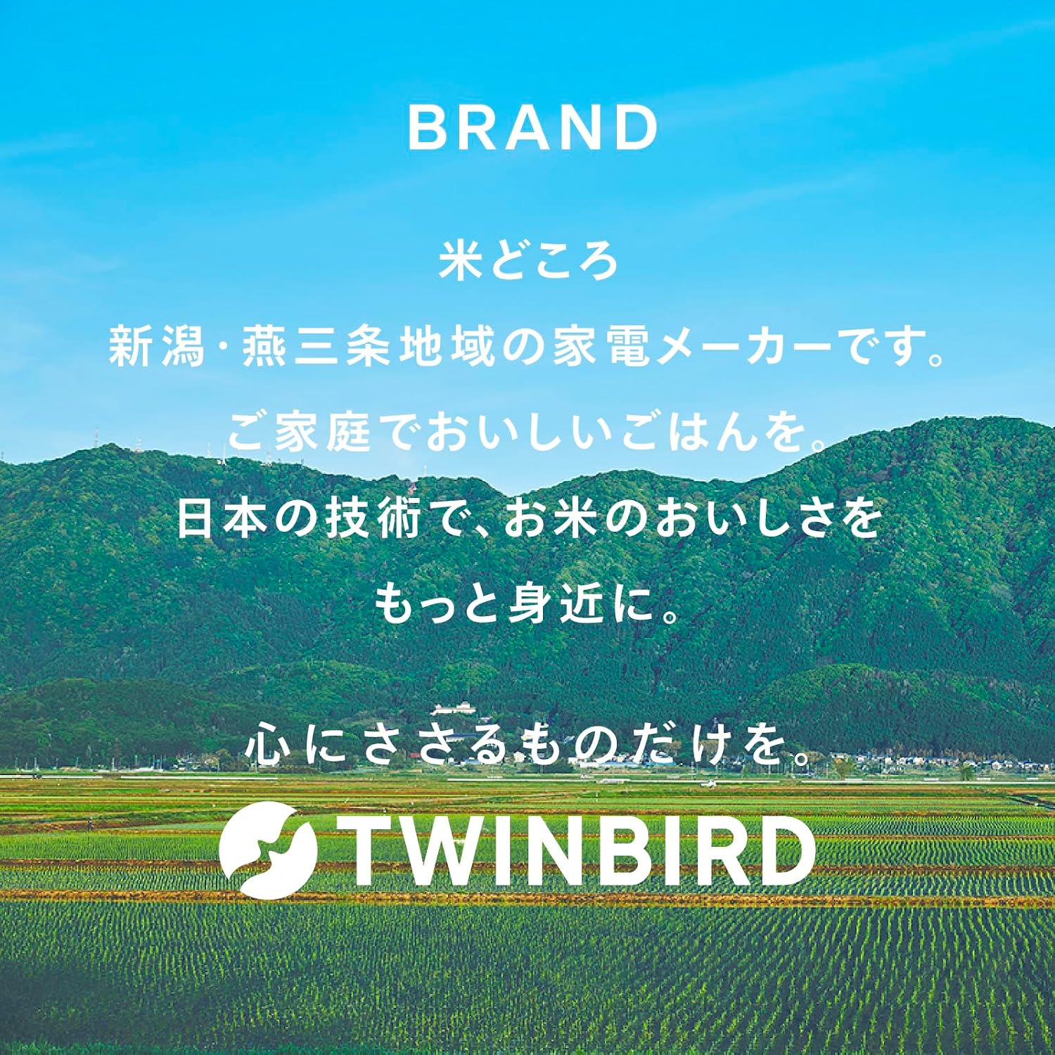 Detalle de TWINBIRD 精米御膳 EMR-EG55W 家庭用精米機 5合・かくはん式・分づき調整