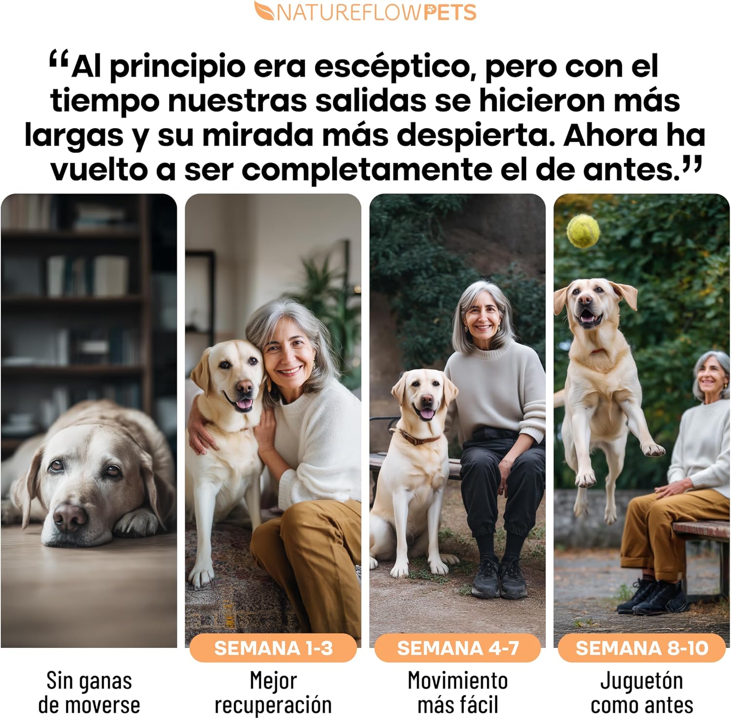 Thumbnail 5 de Superior Condroprotector Perros - Ganador DE MÚLTIPLES PREMIOS EN Pruebas - Suplementos para Articulaciones Perros con Glucosamina y MSM, 100 Comprimidos de Natureflow Pets