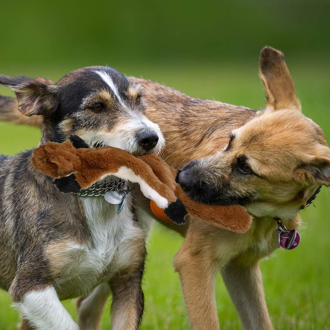 Thumbnail 3 de PDTO Stuffingless Dog Toy Set — 3× 46cm Plush Squeaker Toys (Squirrel, Raccoon & Fox) for Small & Medium Dogs