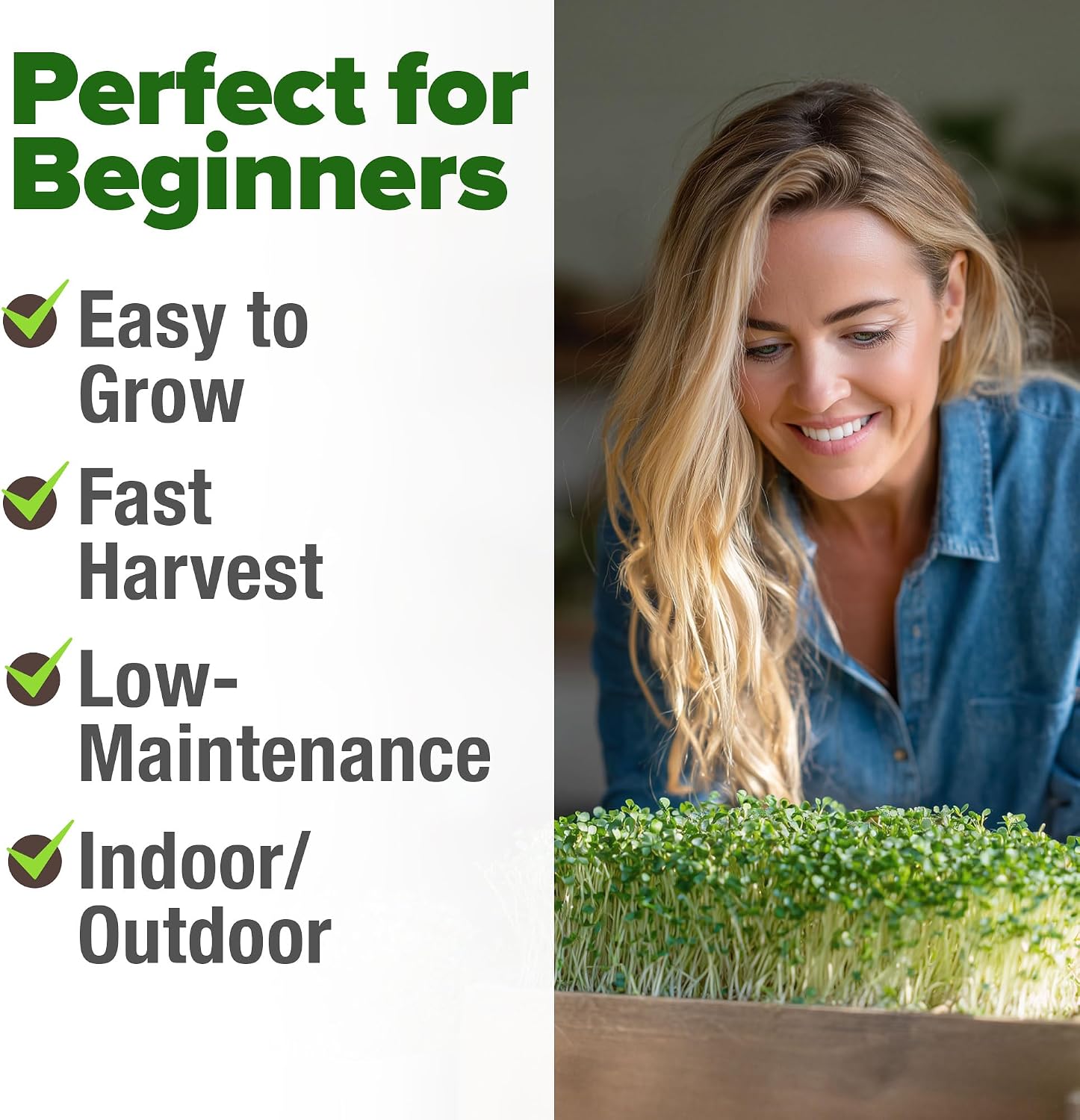 Thumbnail 3 de HOME GROWN Broccoli Seeds 8 oz Bulk – Heirloom, Non-GMO Sprouting Seeds for High Germination