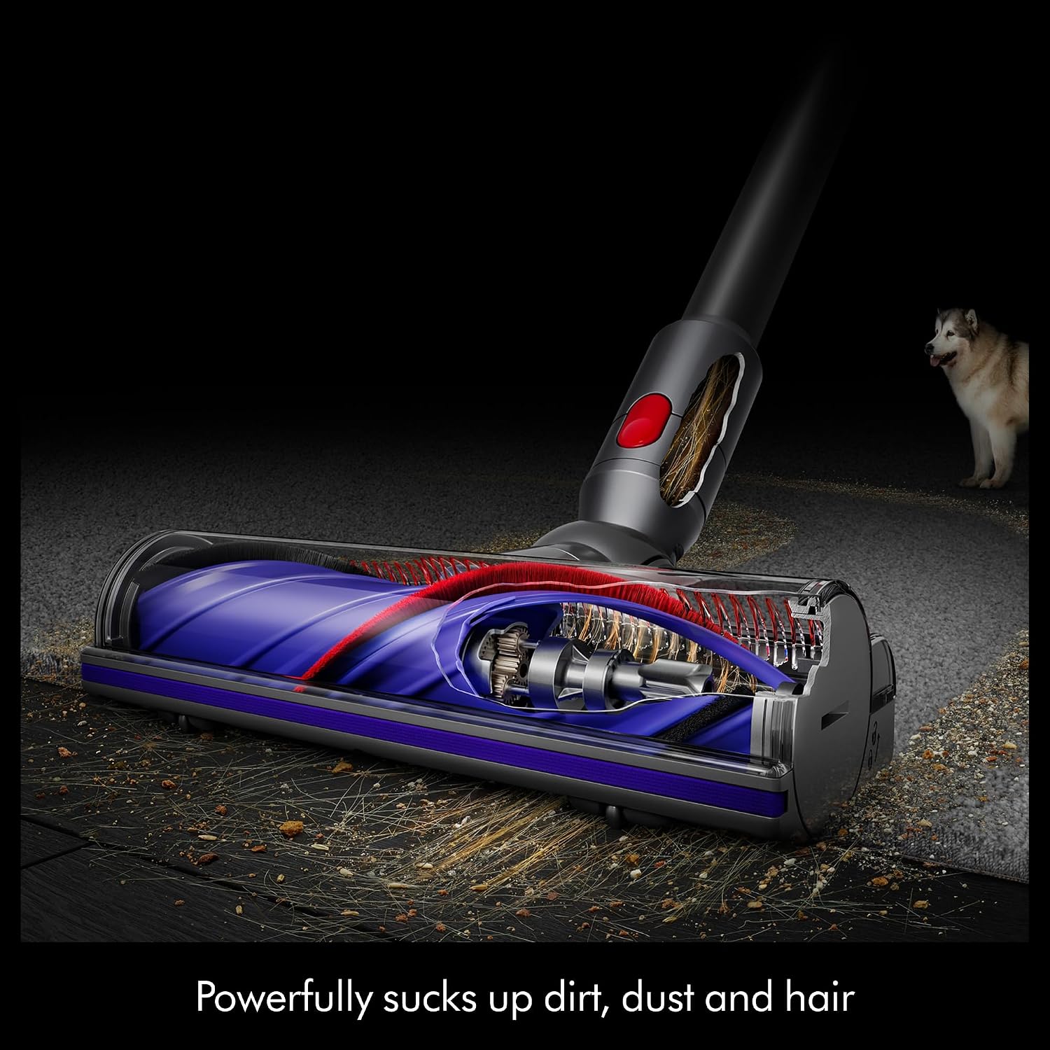 Thumbnail 4 de Dyson cordless vacuum Cyclone V10
