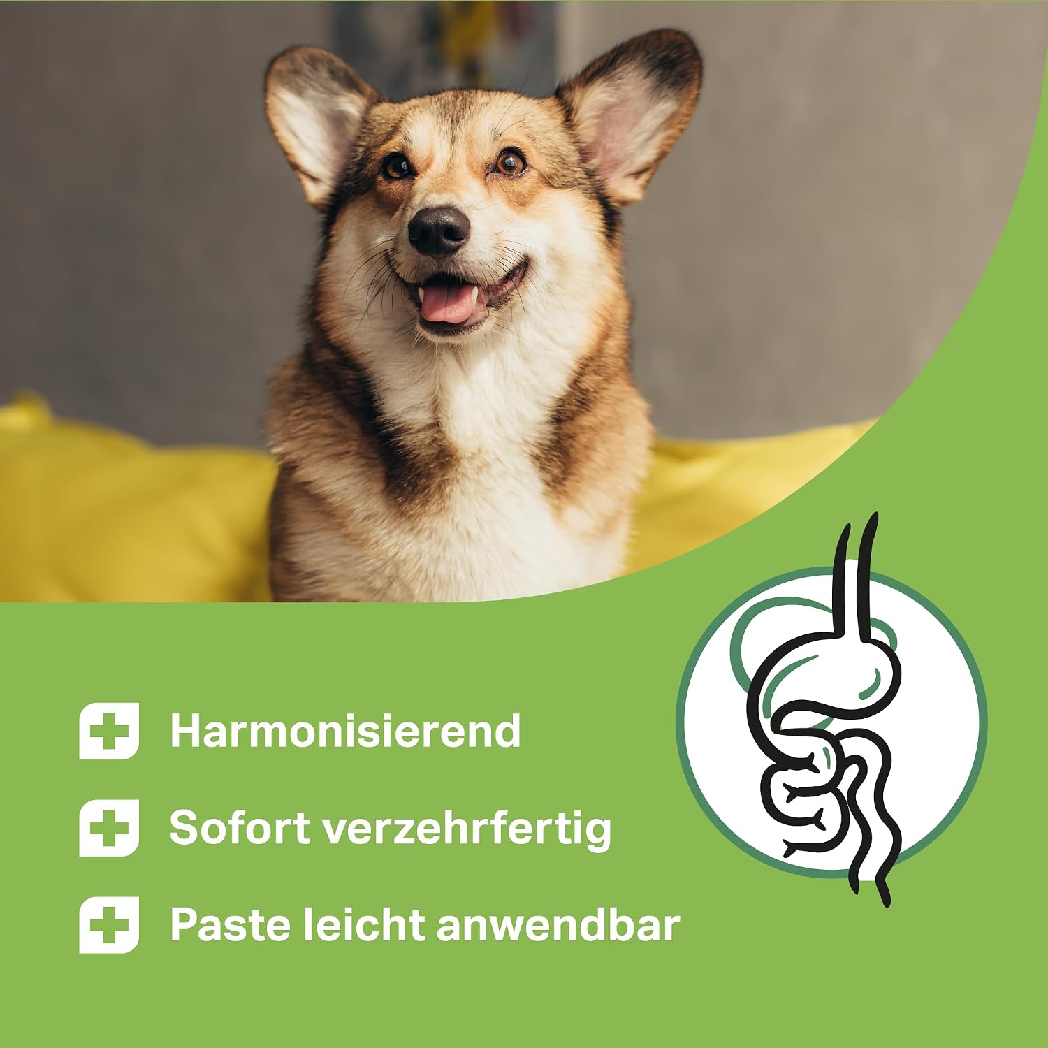 Detalle de MEDIDOG 500g Premium Ulmenrinden-Paste für Hunde – sofort verzehrfertig mit Slippery Elm Bark