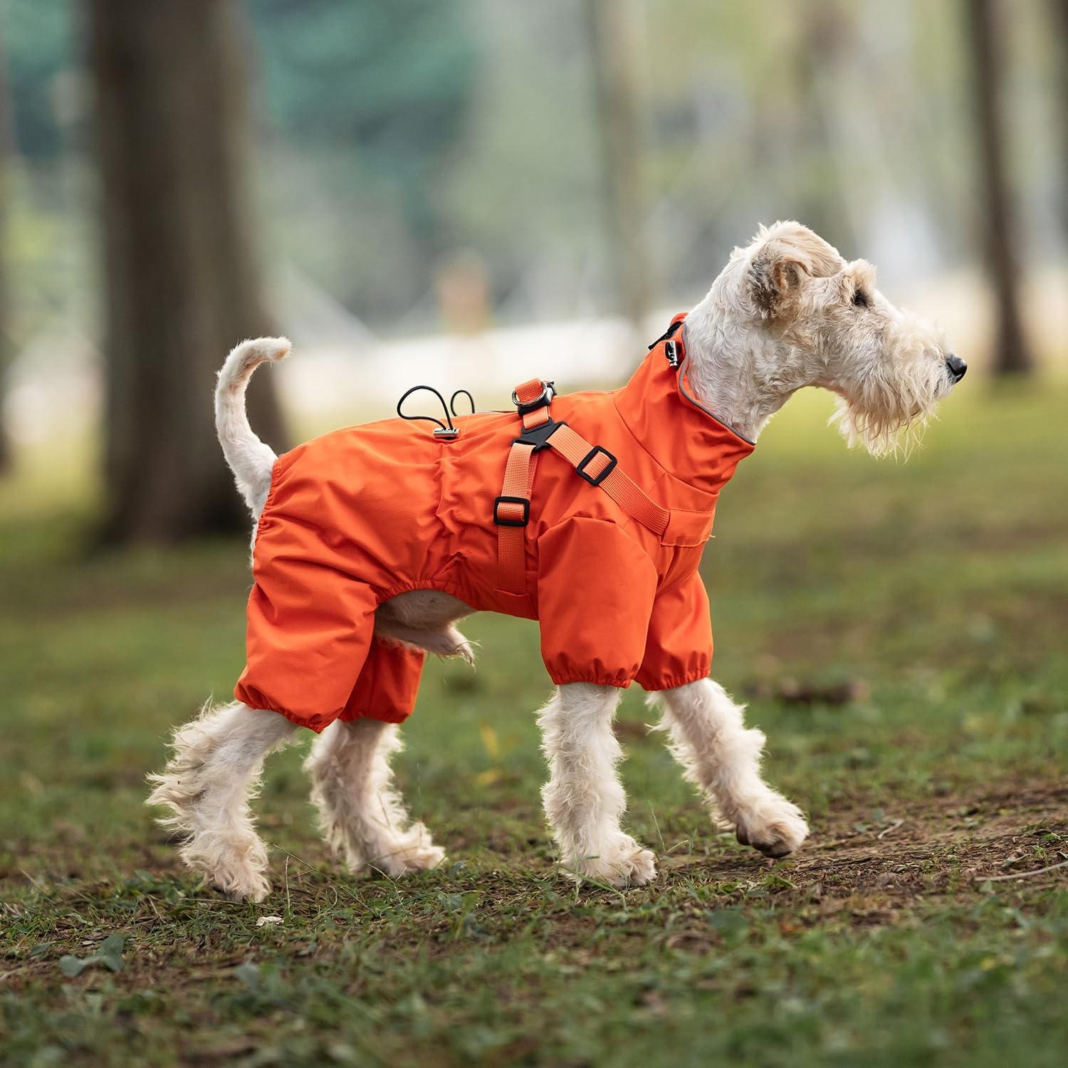 Detalle de Mile High Life Waterproof Dog Raincoat, XS Orange with Harness – Full Coverage & Reflective