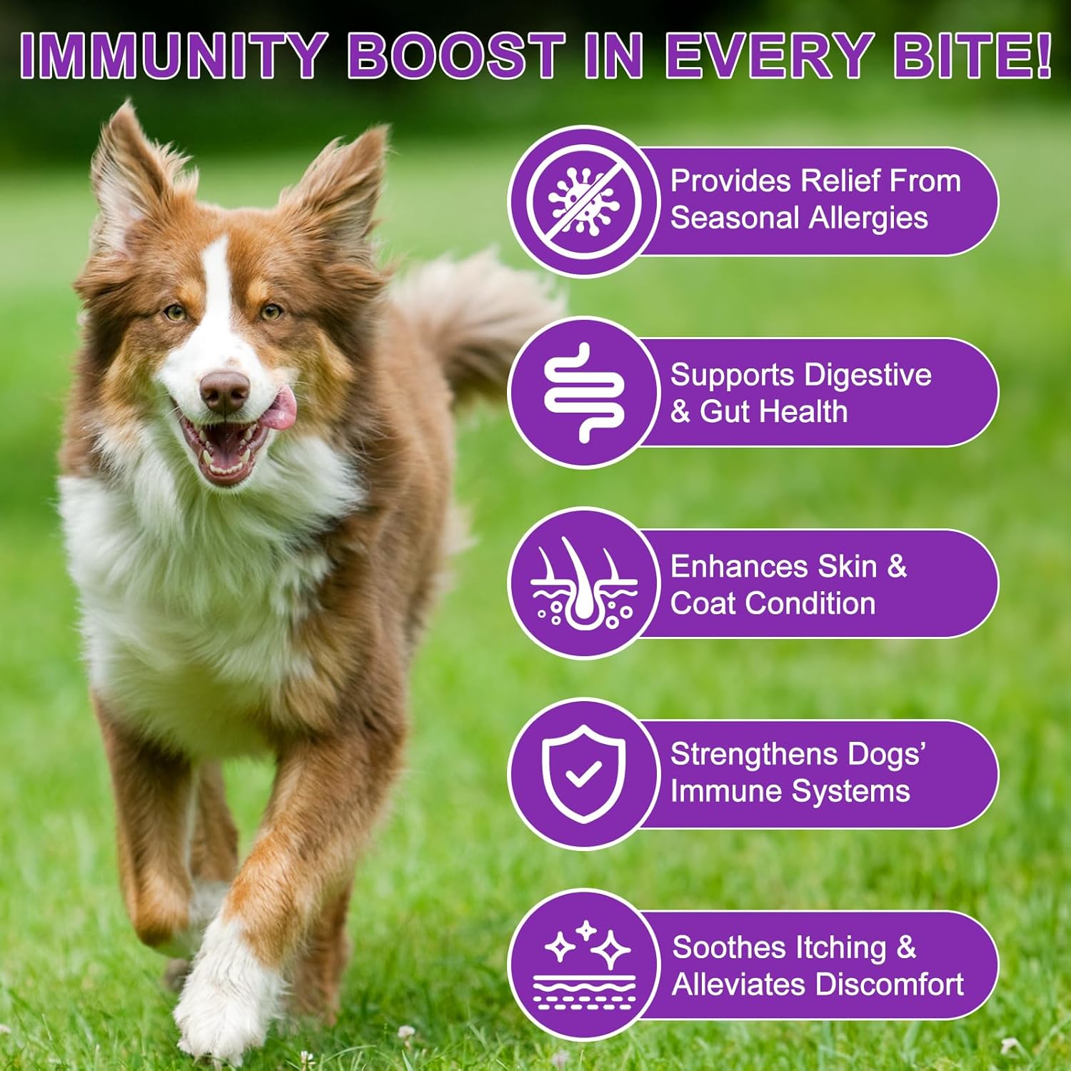 Detalle de Allergie Relief Dog Treats: snack antipruriti per cani con olio di salmone, colostro e probiotici