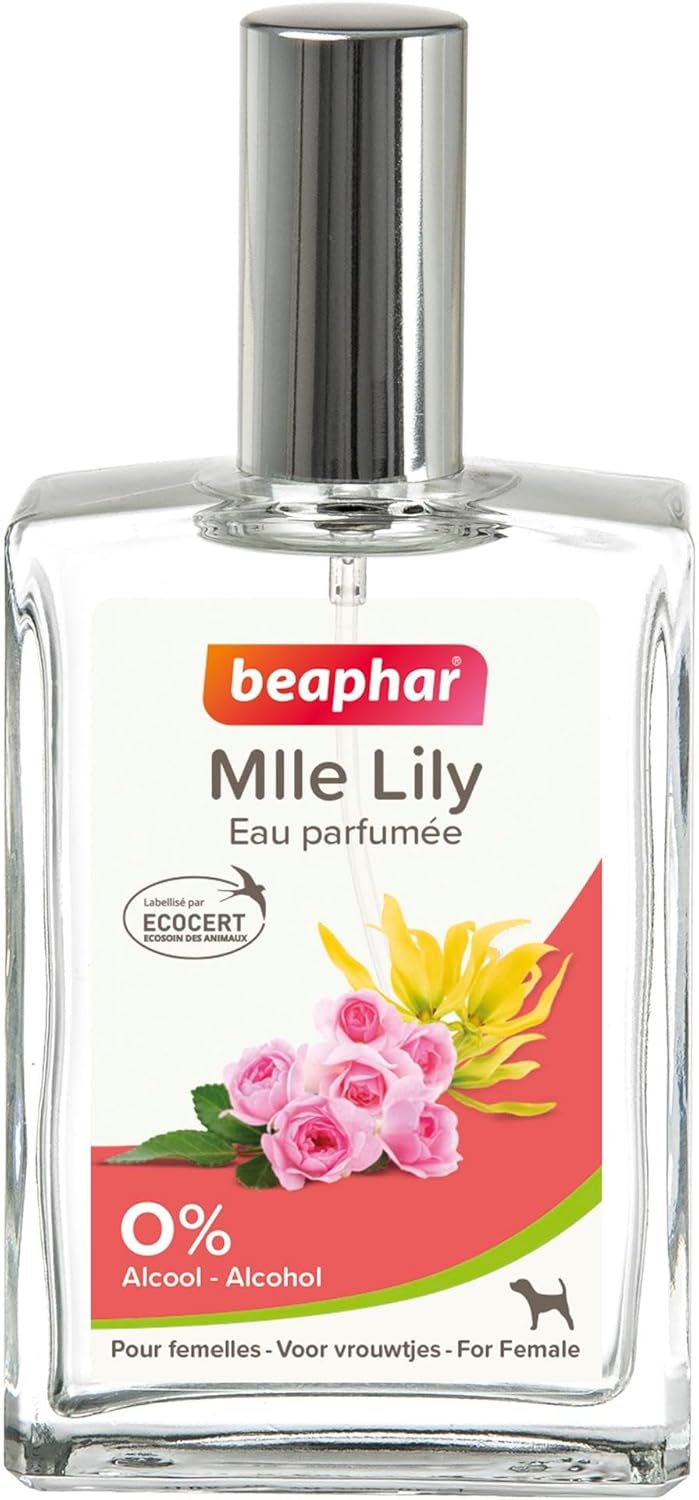 Thumbnail 6 de BEAPHAR Mr FILOU Eau Parfumée labellisée ECOCERT pour Chien Mâle – 50 ml, sans alcool, 98% d’ingrédients naturels