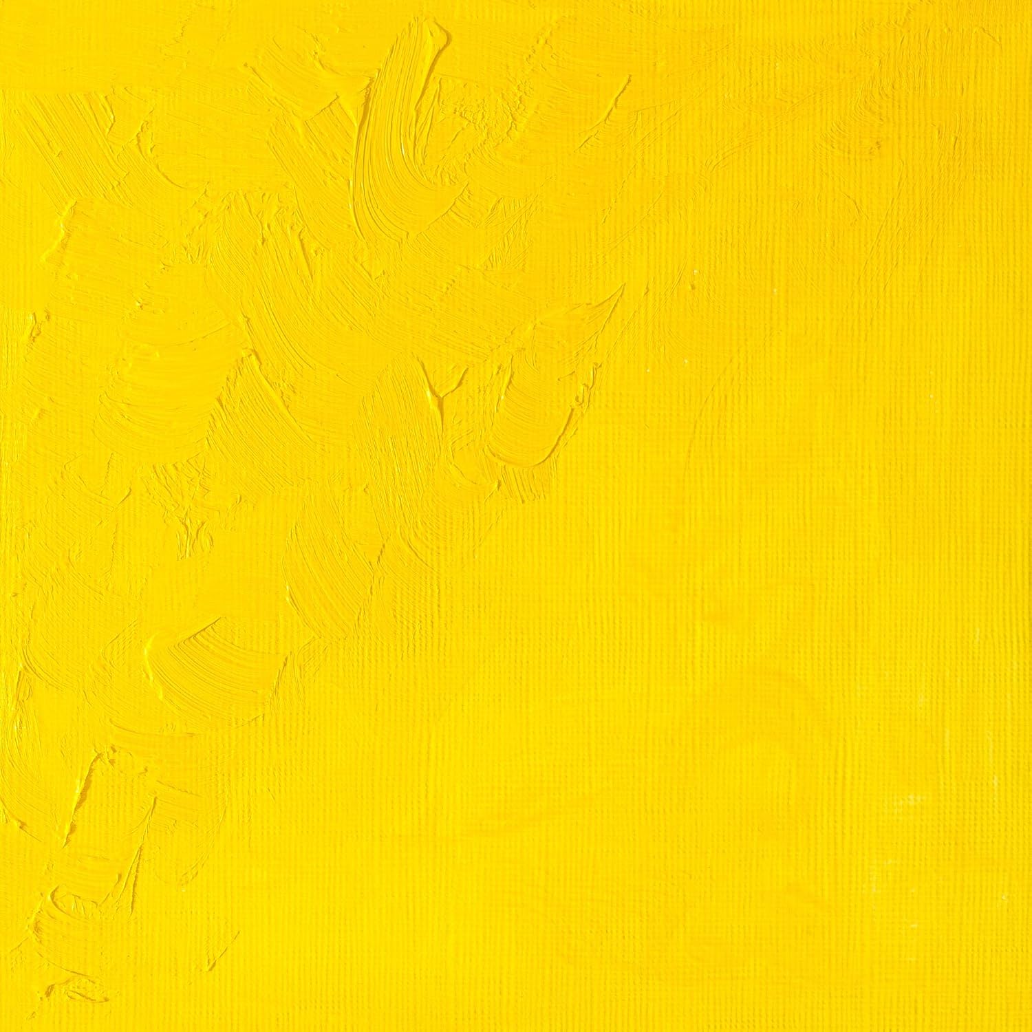 Detalle 2 de Winsor & Newton Winton Cadmium Yellow Light Oil Paint, 37ml Tube