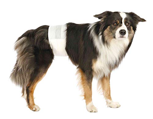 Detalle 2 de TRIXIE Pañales para perros machos talla L–XL (60–80 cm) – 12 uds con cierre adhesivo y elástico