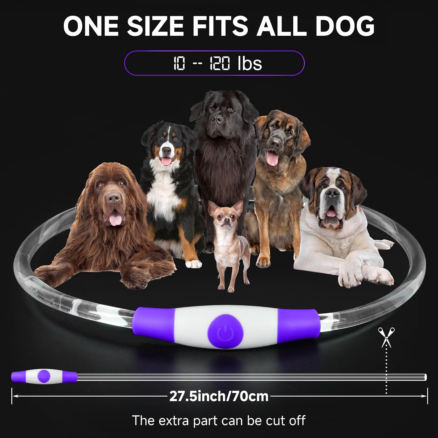 Thumbnail 2 de Light Up Dog Collar LED 70cm Purple