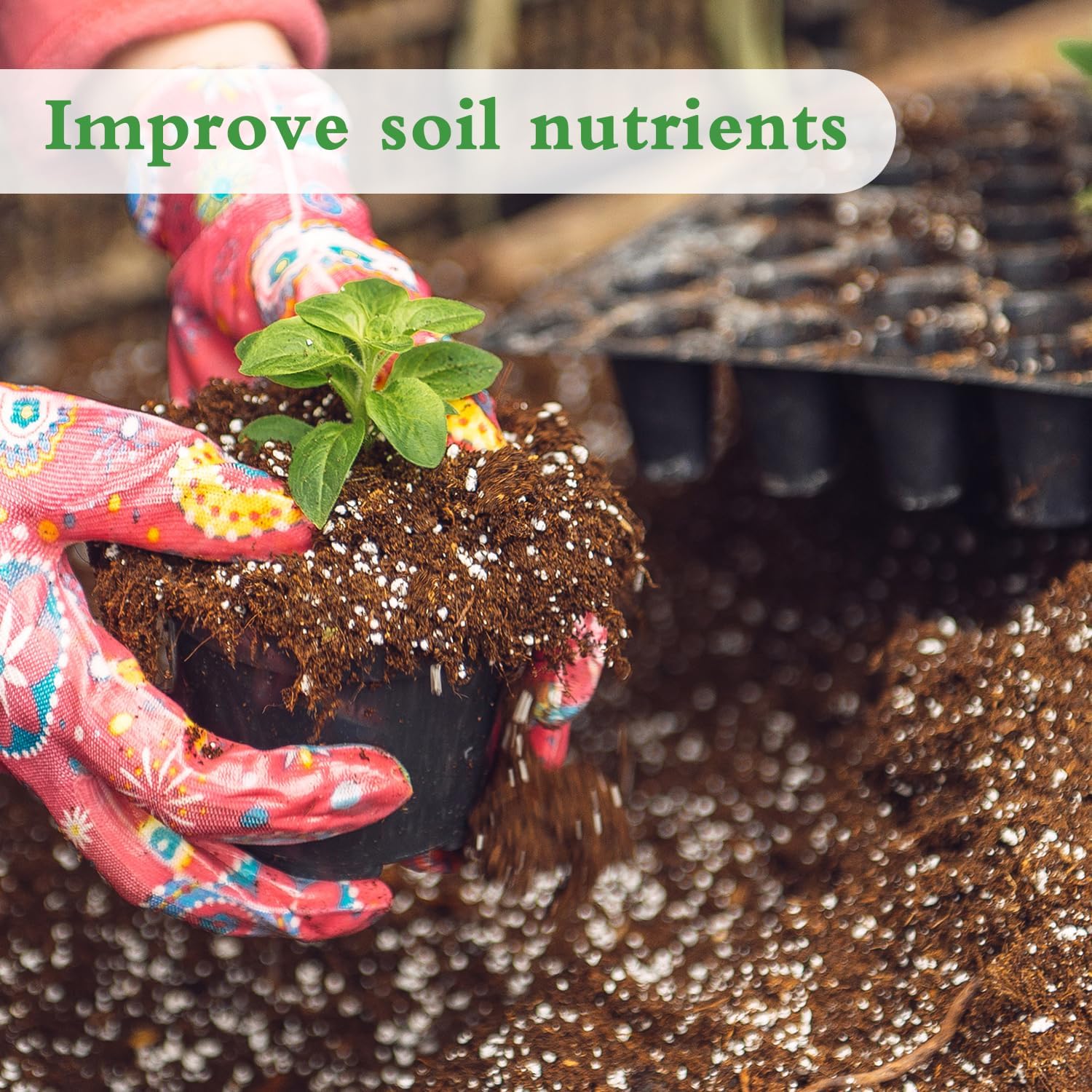 Thumbnail 1 de HAINANSTRY 2QT Perlite for Plants, Soil Aeration and Drainage