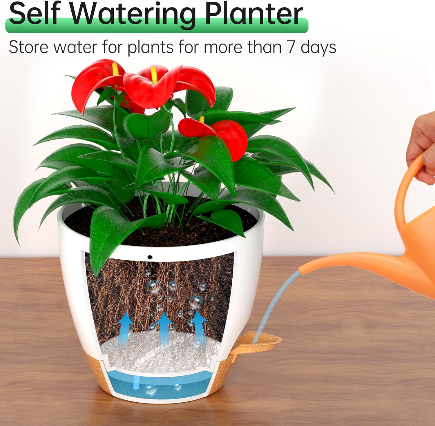 Detalle 2 de ZMTECH 8-Inch Hanging Planters, 2-Pack with Self-Watering Reservoirs, White