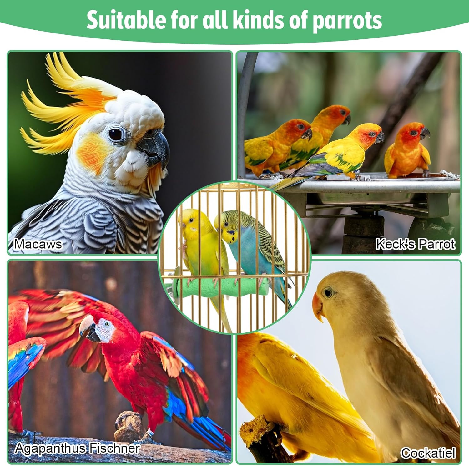 Thumbnail 6 de 2PCS Bird Beak Grinding Stone Perches for Cage – Durable Parrot Stand for Claws & Beak Care