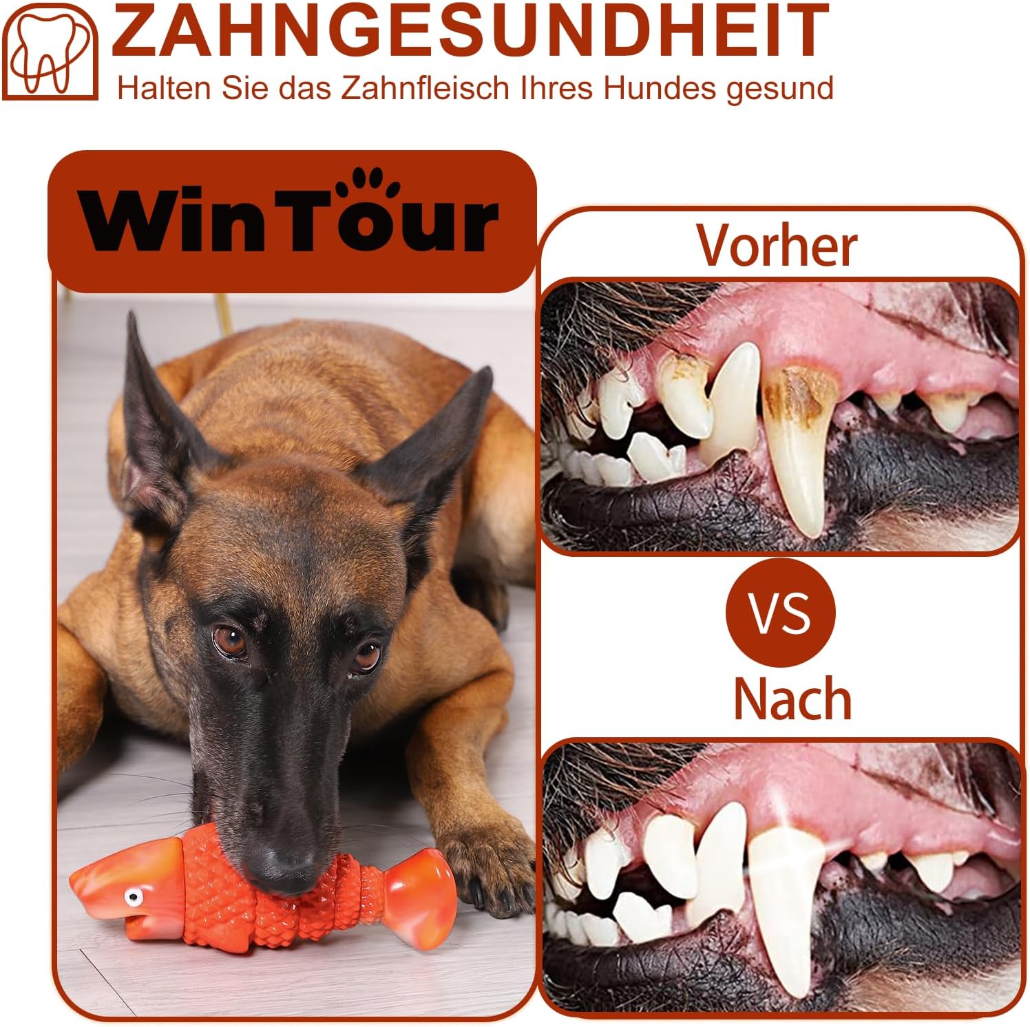 Thumbnail 3 de WinTour Hundespielzeug Kauspielzeug