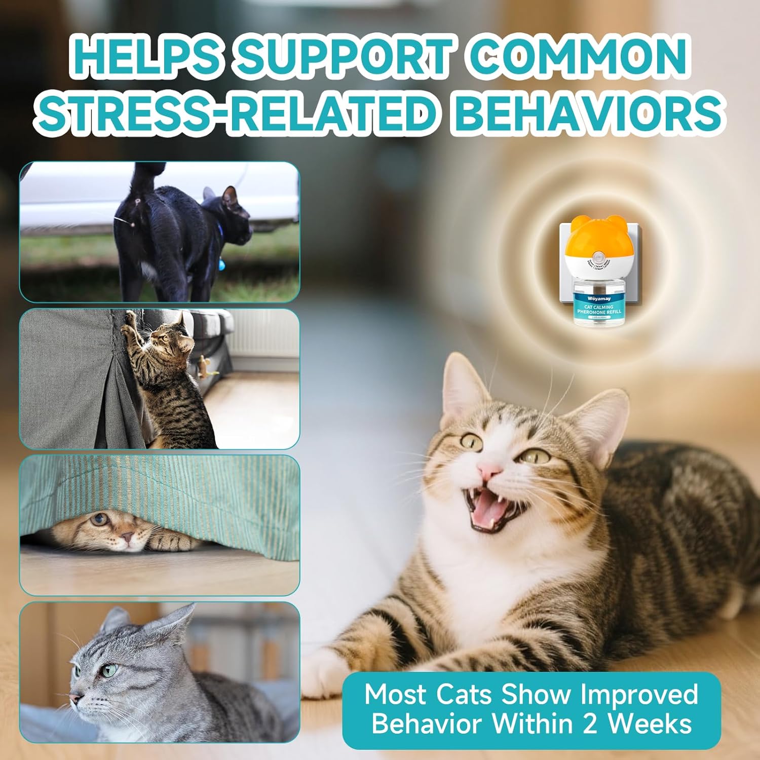 Detalle 2 de Woyamay Cat Calming Plug‑in diffuser 48ml for anxiety 🐱