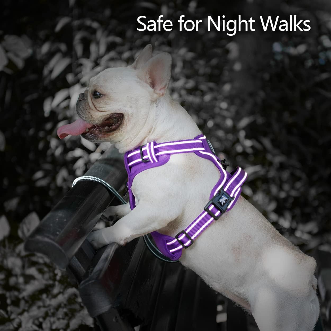 Thumbnail 6 de PoyPet No Pull Dog Harness (Purple, Size M) – Reflective, Soft & Adjustable