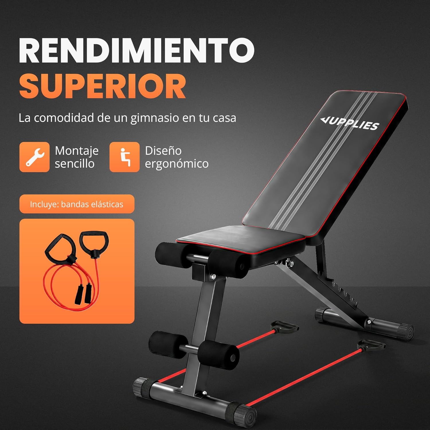 Thumbnail 1 de JUPPLIES Banco de musculación 250 kg