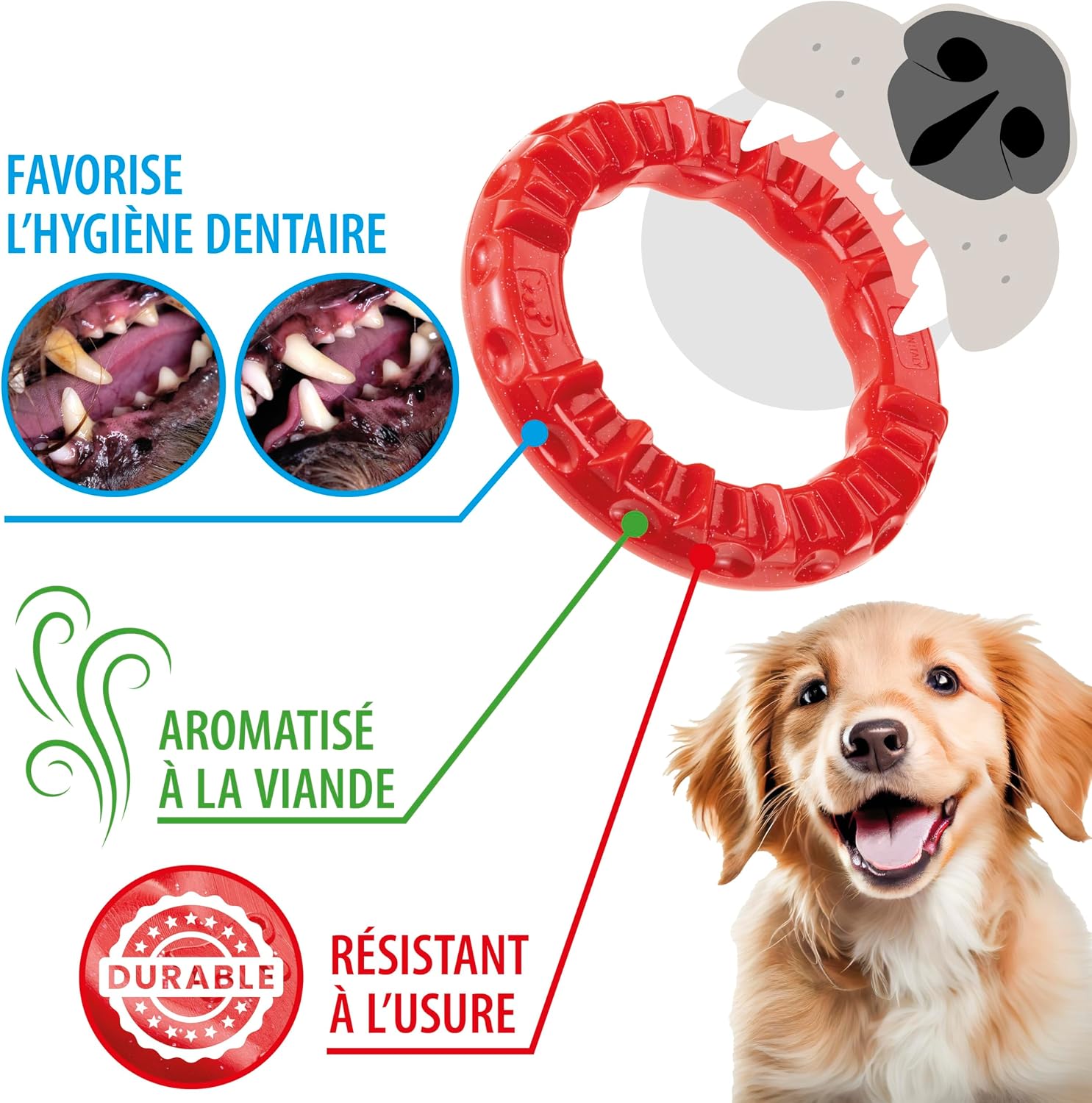 Detalle de Ferplast jouet chien distributeur croquettes arôme poulet