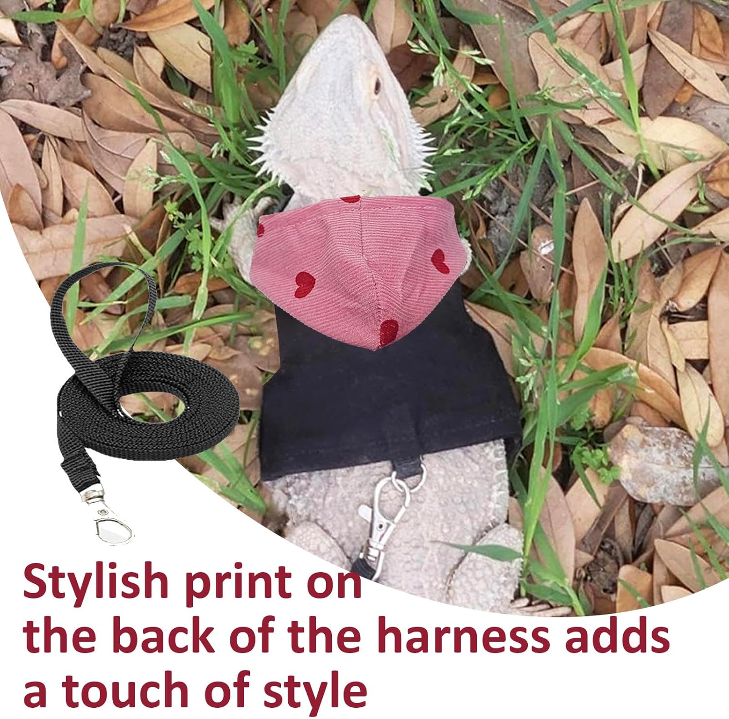 Thumbnail 5 de Red hat bearded dragon lizard hoodie leash suit with chest harness (outdoor walking)