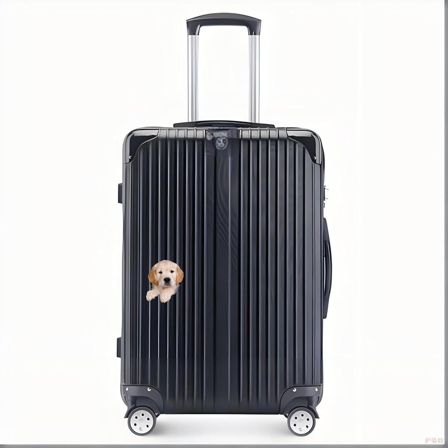 Detalle de Autoaufkleber Golden Retriever 18 cm