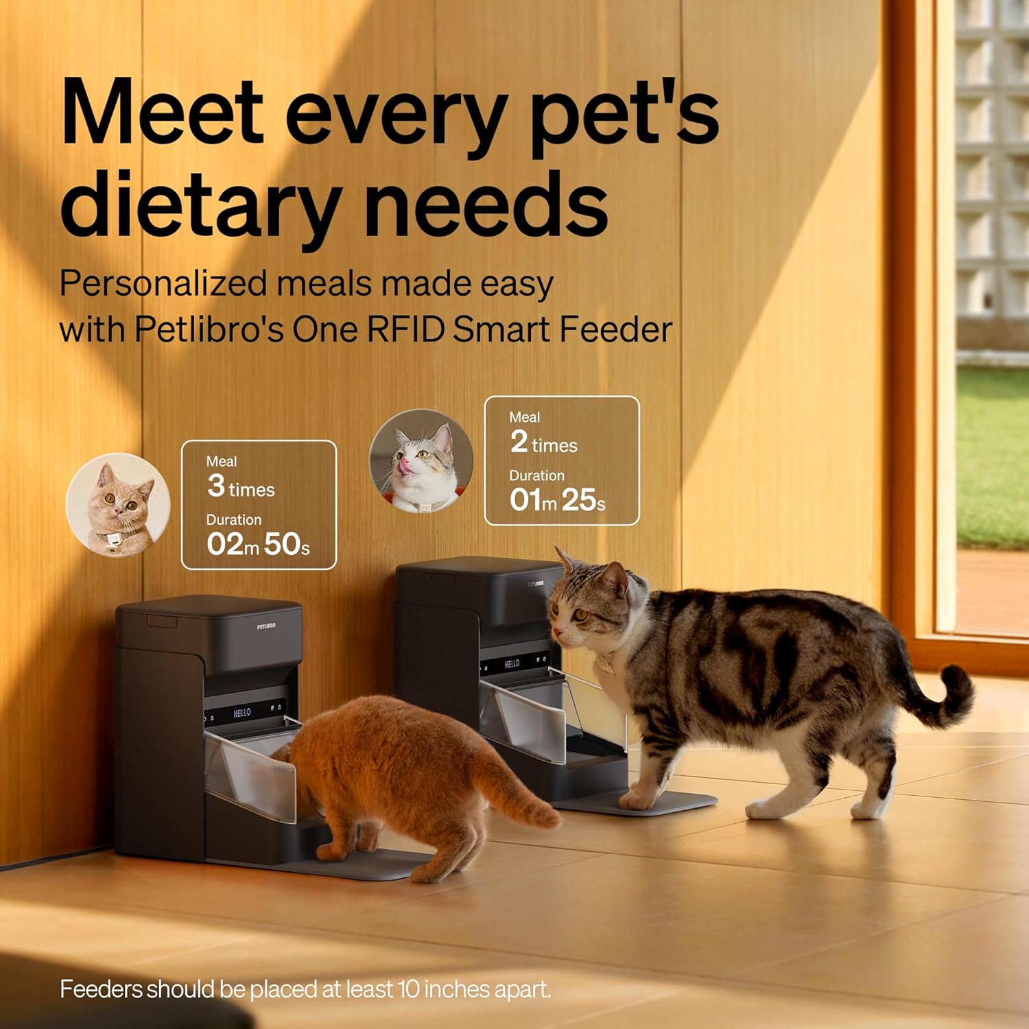 Detalle de PETLIBRO RFID Automatic Cat Feeder with Collar Sensor: Personalized Meals and Real-Time Diet Tracking