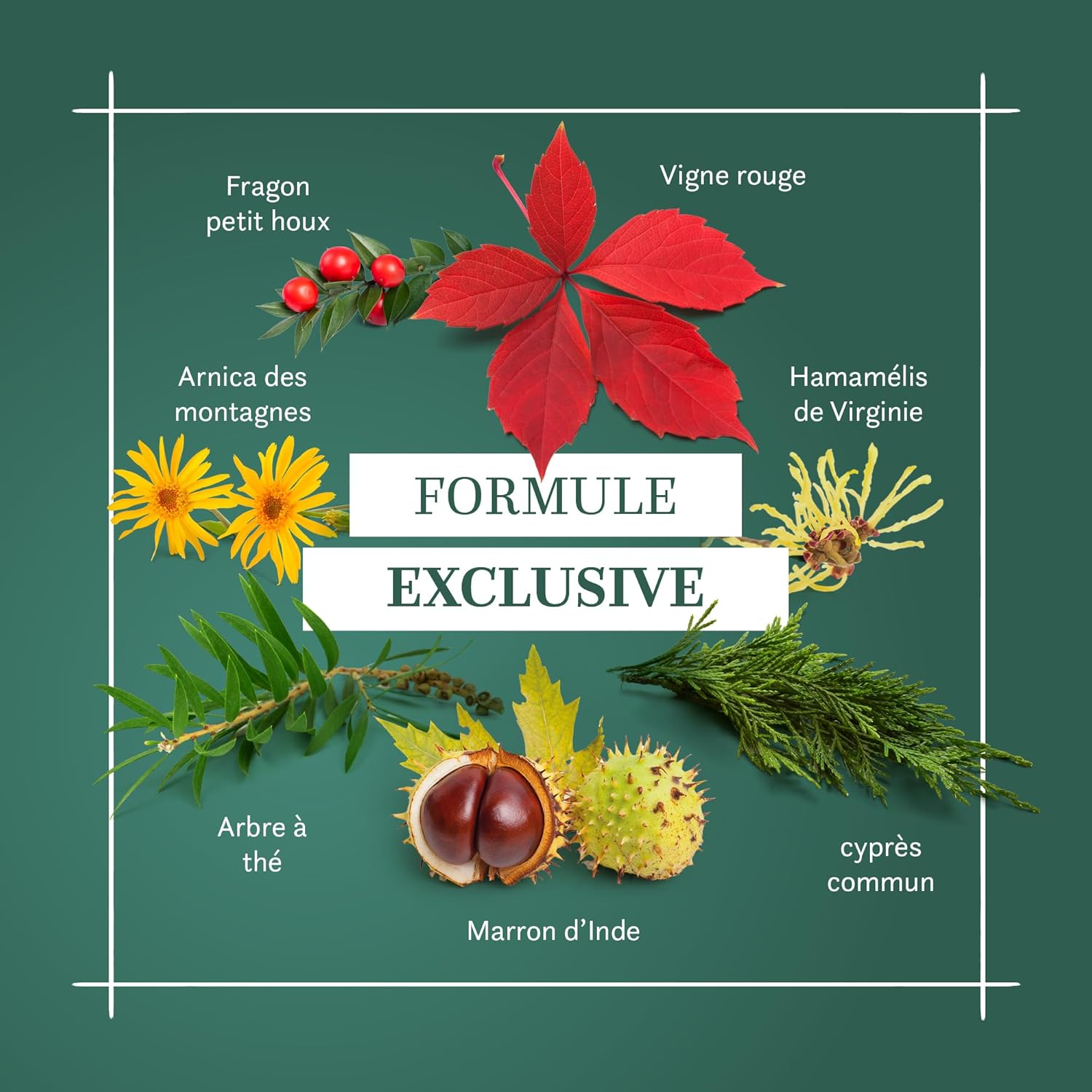 Thumbnail 3 de BLANCHE BRESSON Gel Froid Phyto Jambes Légères anti-fatigue 120 ml (fabriqué en France)