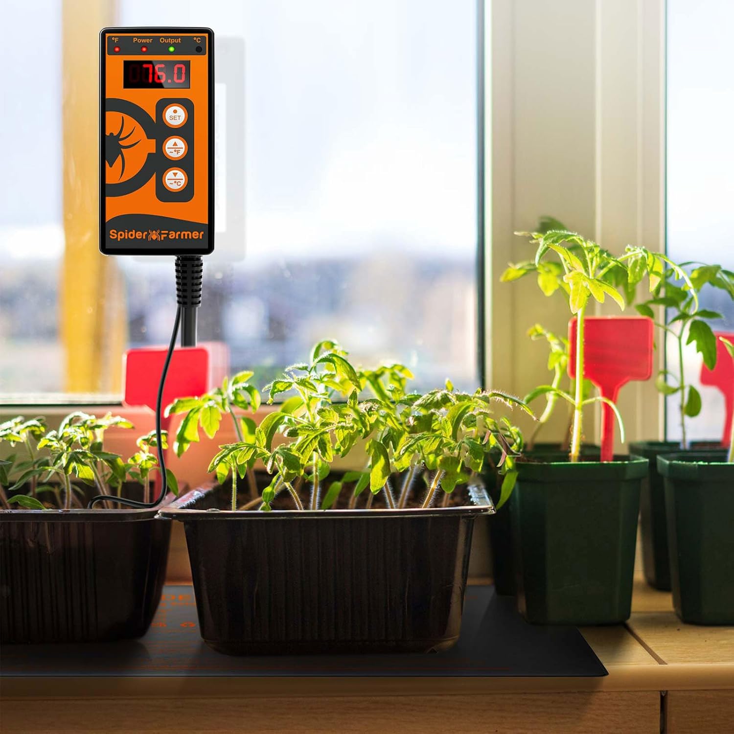 Thumbnail 6 de Spider Farmer Plant Heating Mat 25x52cm 20W 🌱