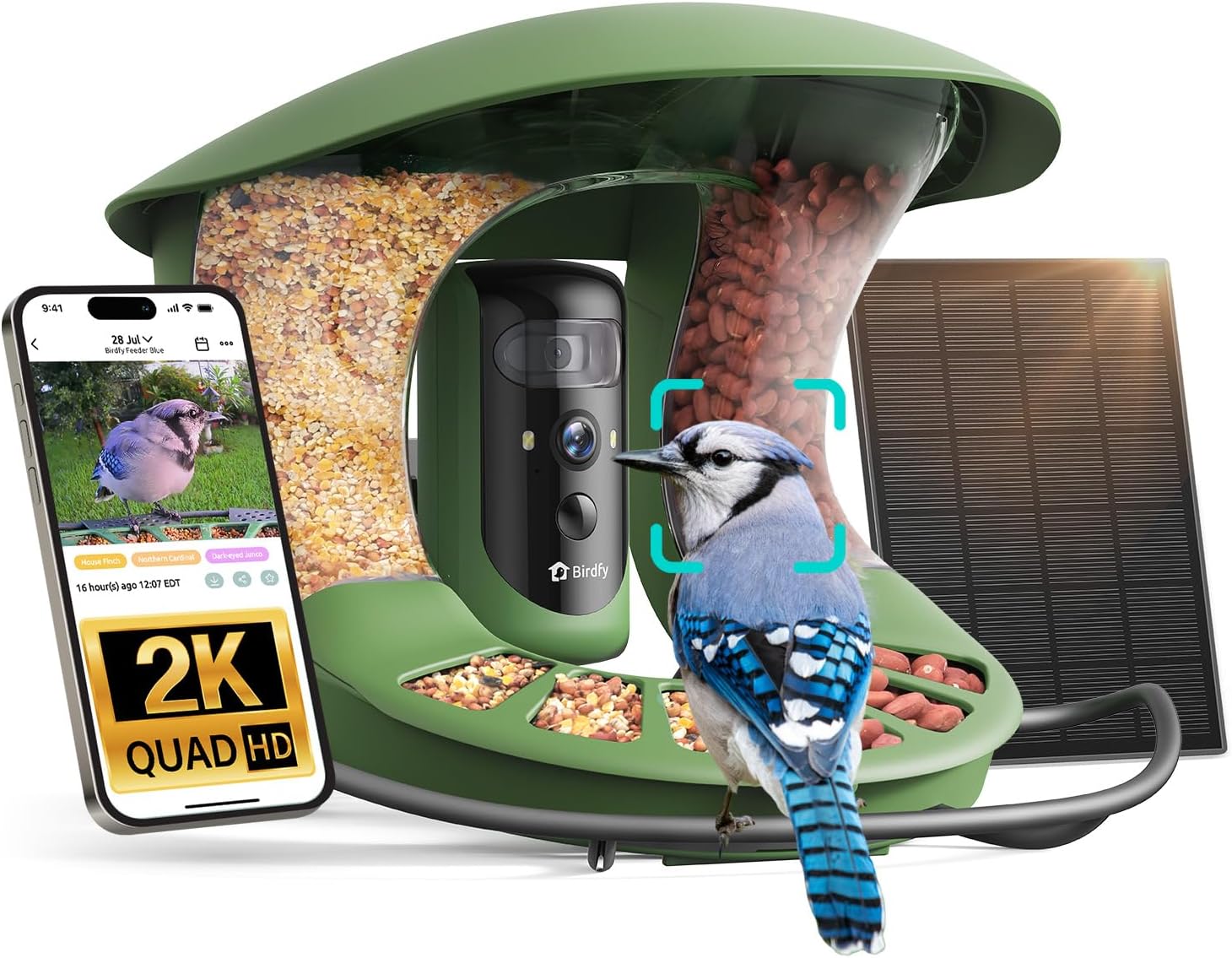 Detalle de Birdfy 2 Smart Bird Feeder with Camera – Dual-Lens 2K + 1080P, Solar Powered