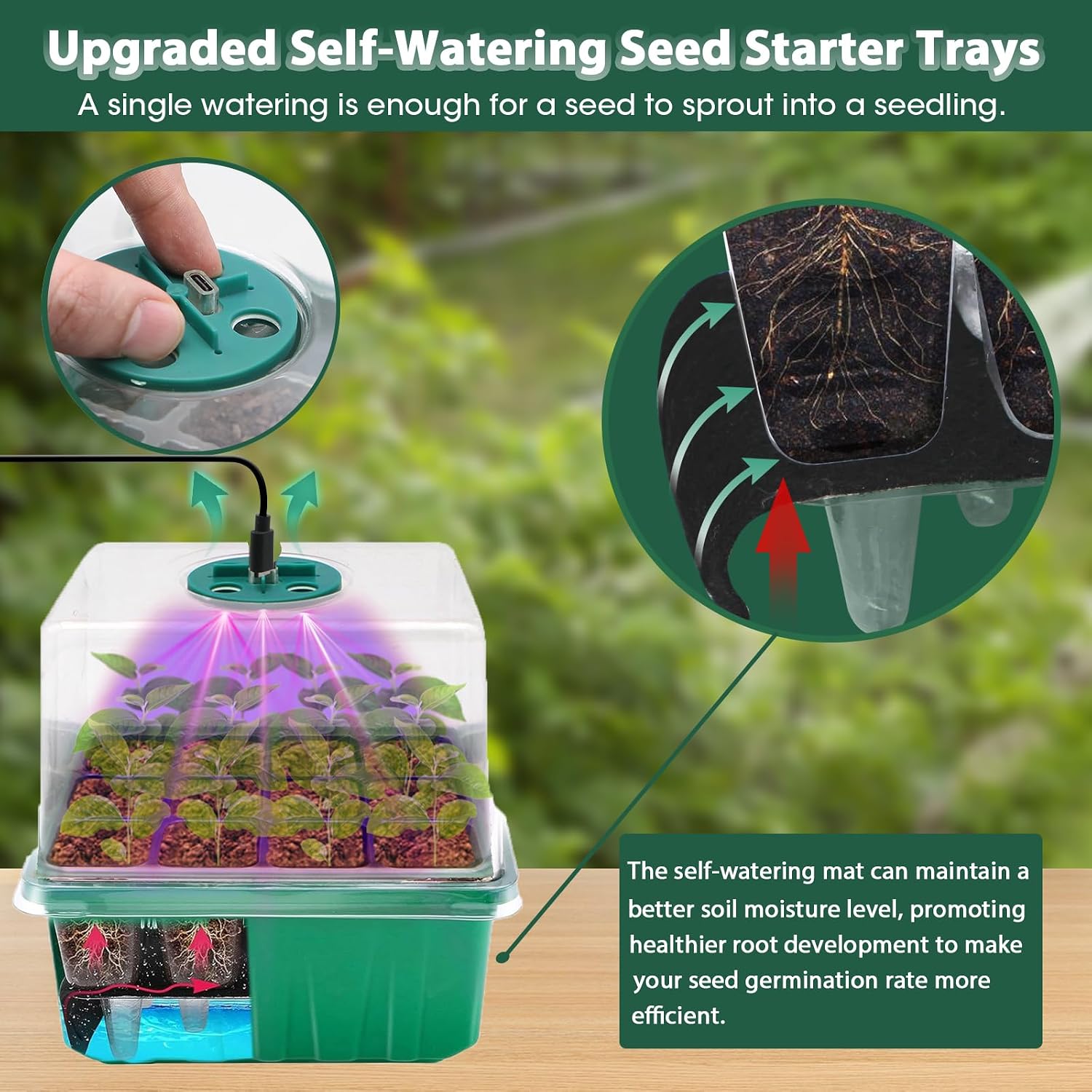Detalle de MQFORU Self-Watering Seed Starter Kit, 72 Cells, Grow Lights and Humidity Domes